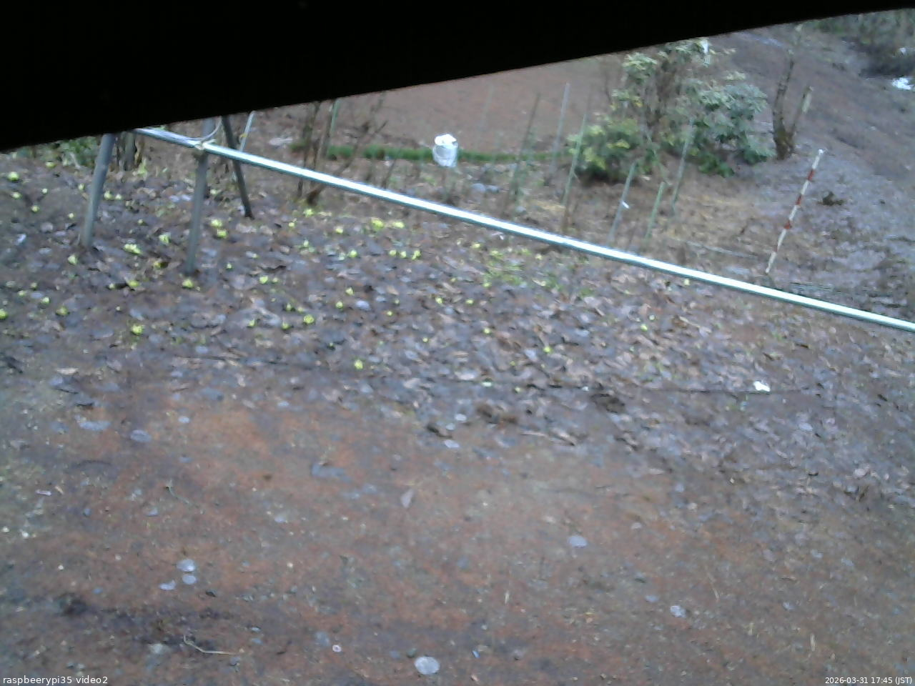 長野県菅平高原 ゆたか山荘 駐車場 2026/03/31 17:45