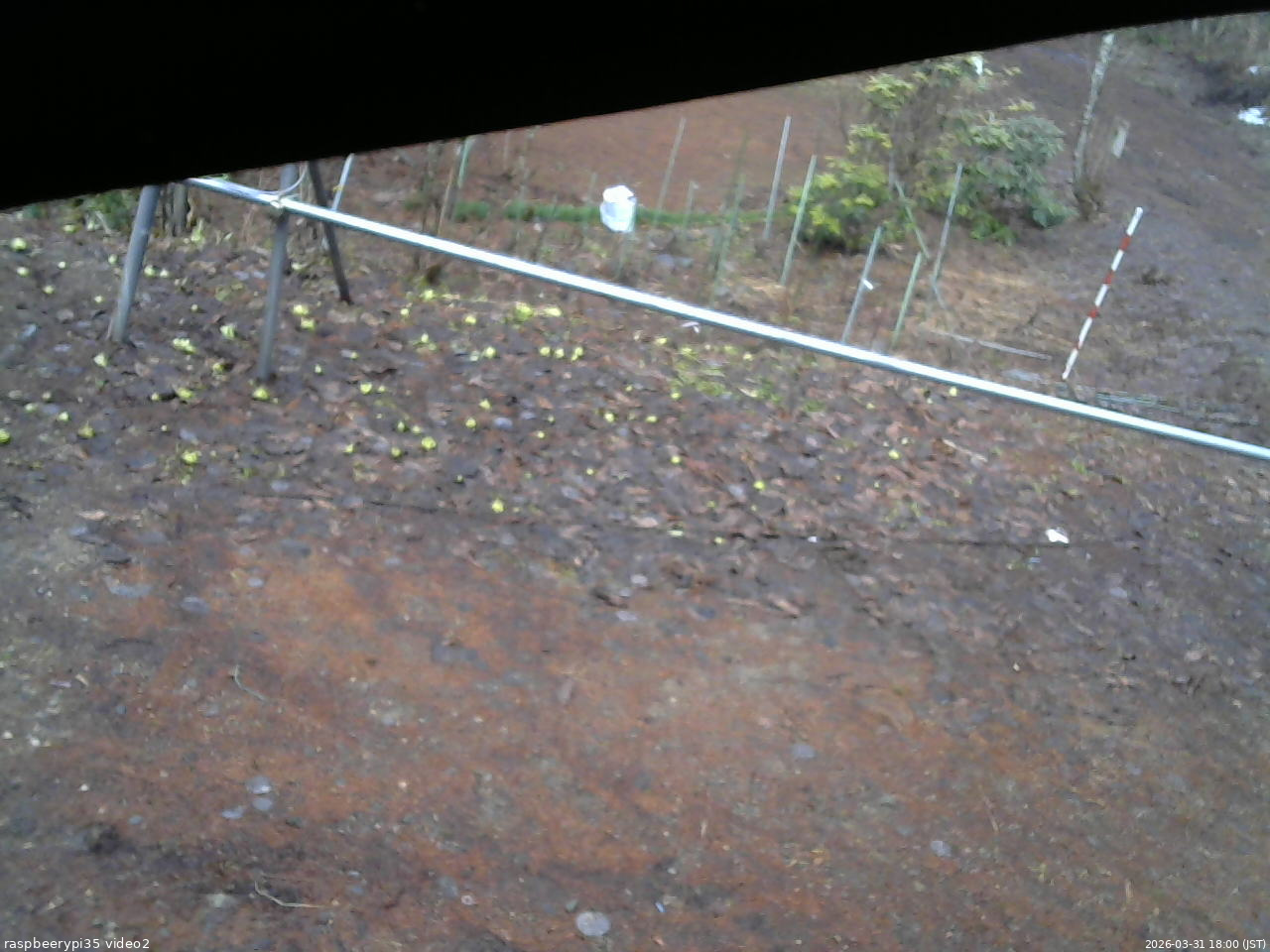 長野県菅平高原 ゆたか山荘 駐車場 2026/03/31 18:00