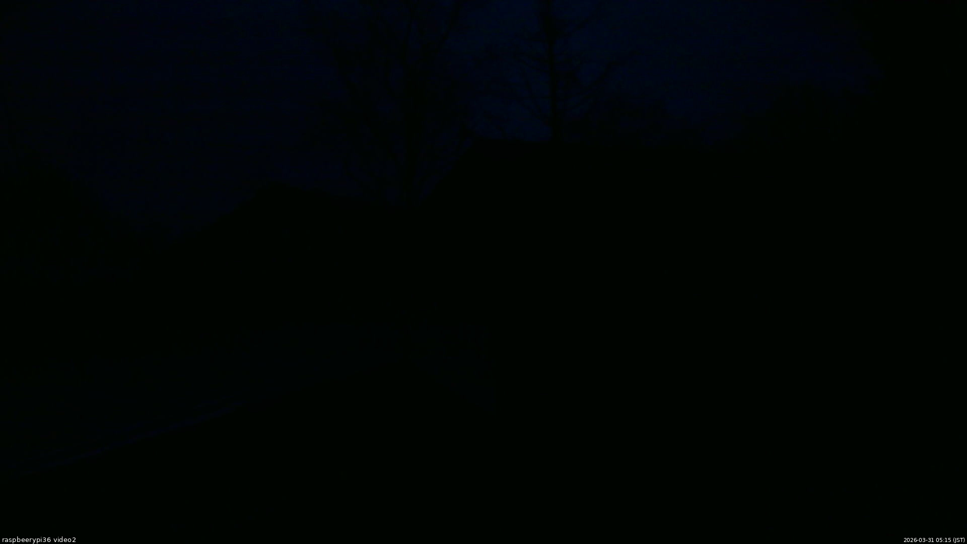 長野県菅平高原 ゆたか山荘 駐車場奥 2026/03/31 05:15