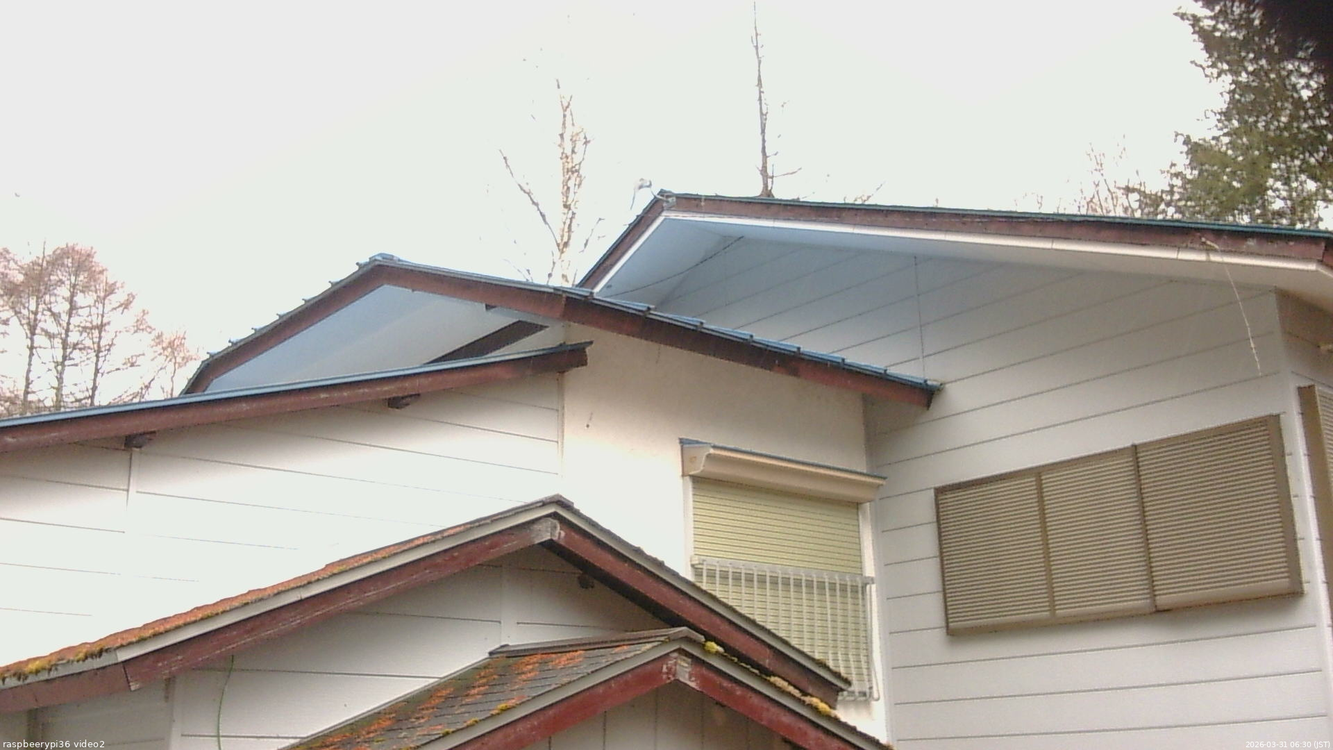 長野県菅平高原 ゆたか山荘 駐車場奥 2026/03/31 06:30