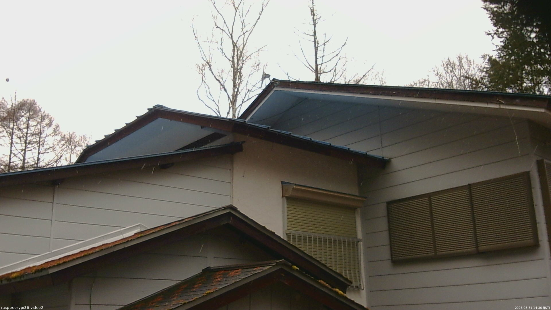 長野県菅平高原 ゆたか山荘 駐車場奥 2026/03/31 14:30