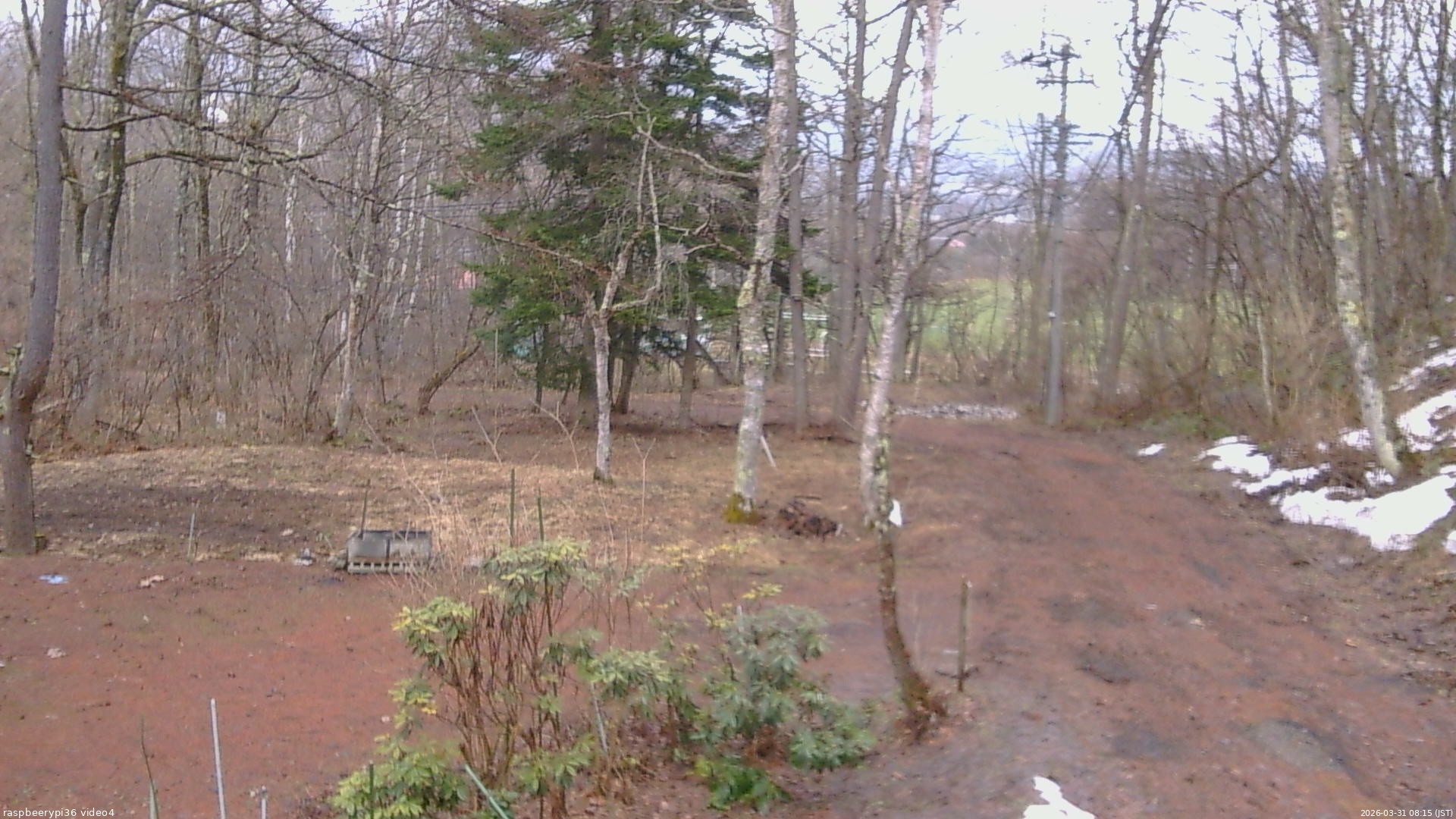 長野県菅平高原 ゆたか山荘 坂上 2026/03/31 08:15