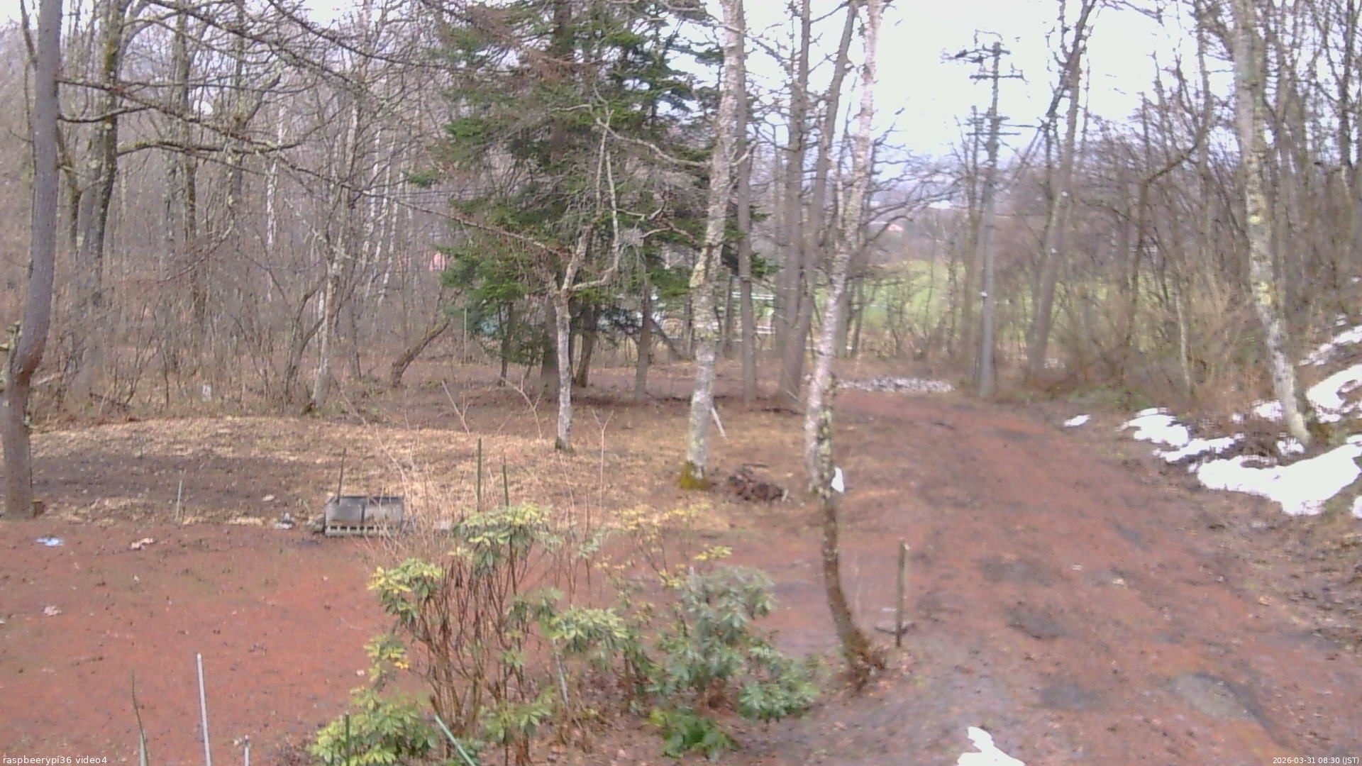 長野県菅平高原 ゆたか山荘 坂上 2026/03/31 08:30