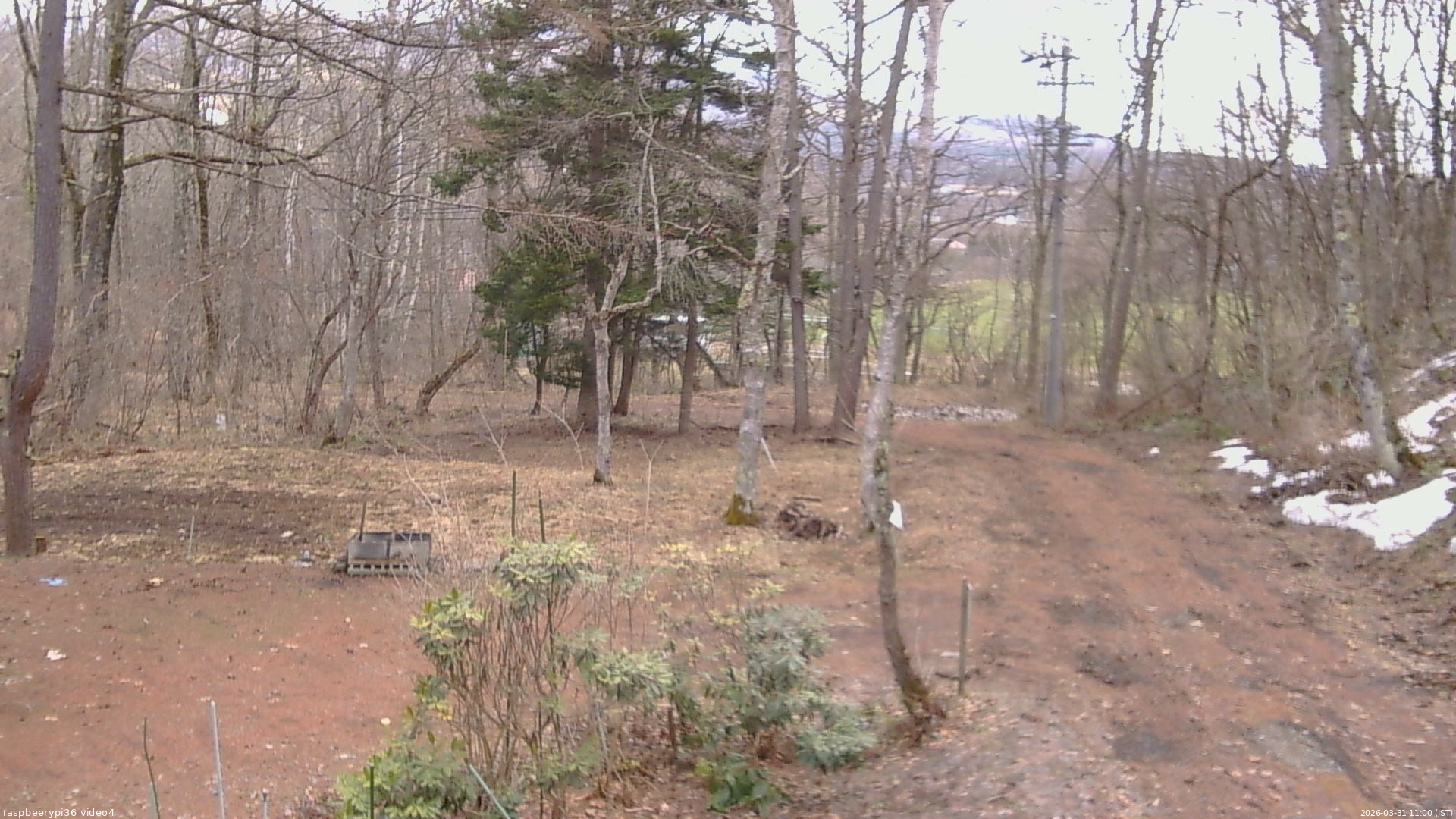 長野県菅平高原 ゆたか山荘 坂上 2026/03/31 11:00