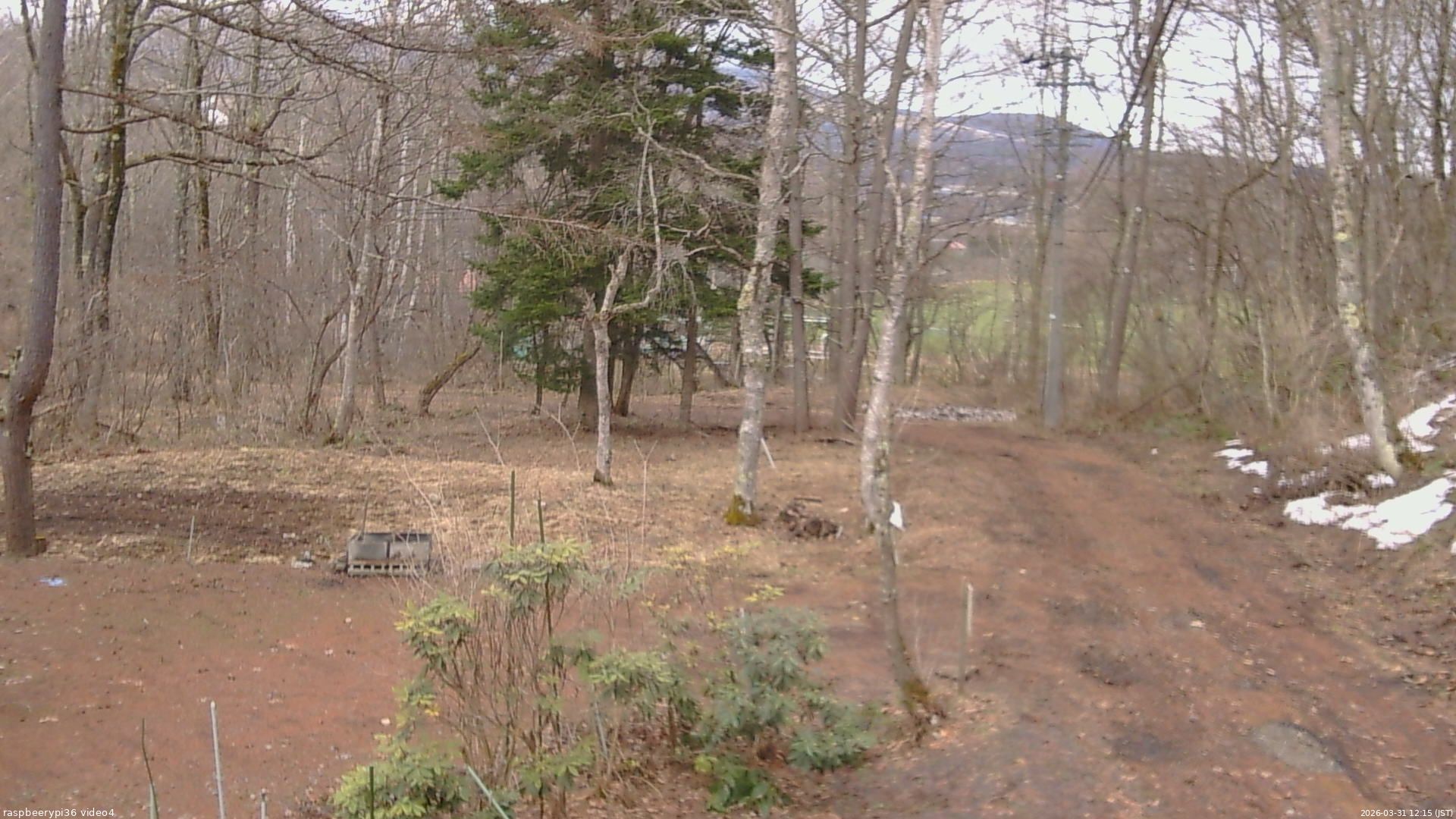 長野県菅平高原 ゆたか山荘 坂上 2026/03/31 12:15