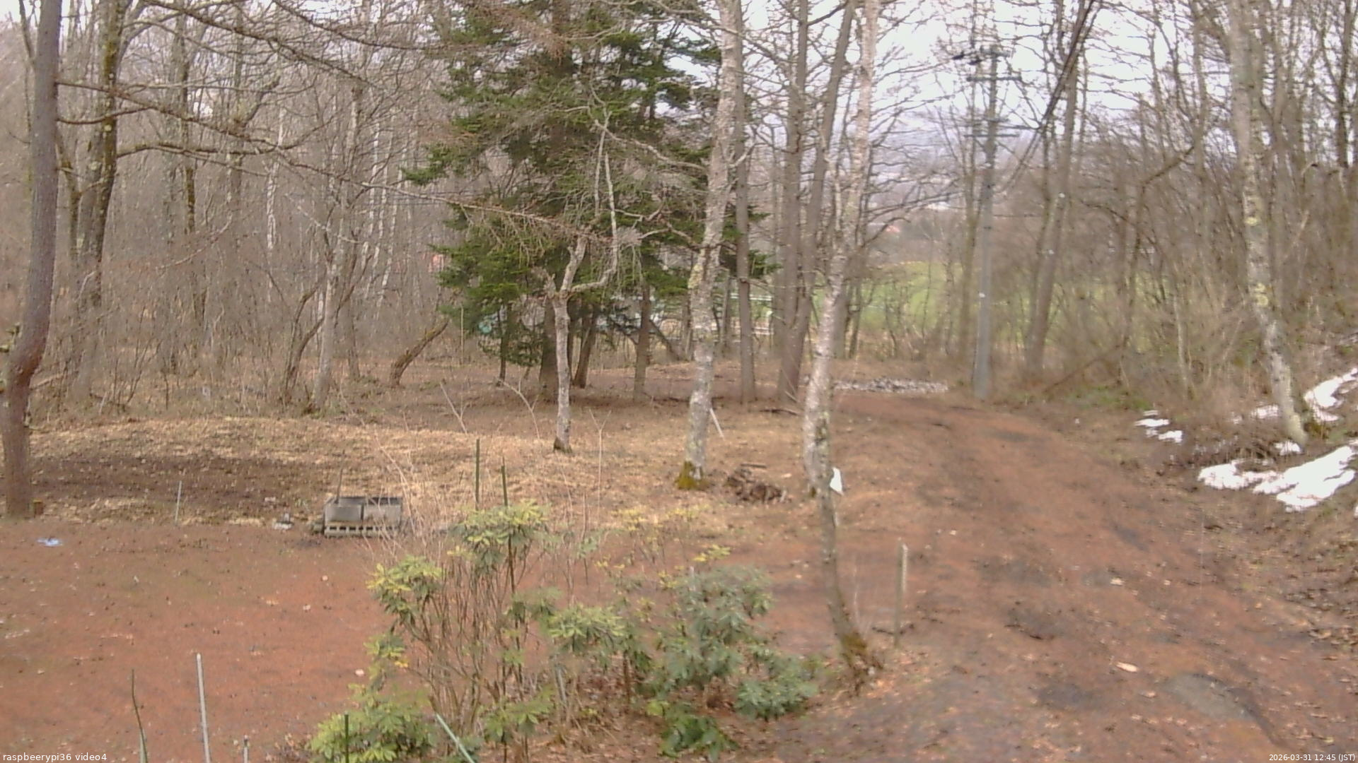 長野県菅平高原 ゆたか山荘 坂上 2026/03/31 12:45