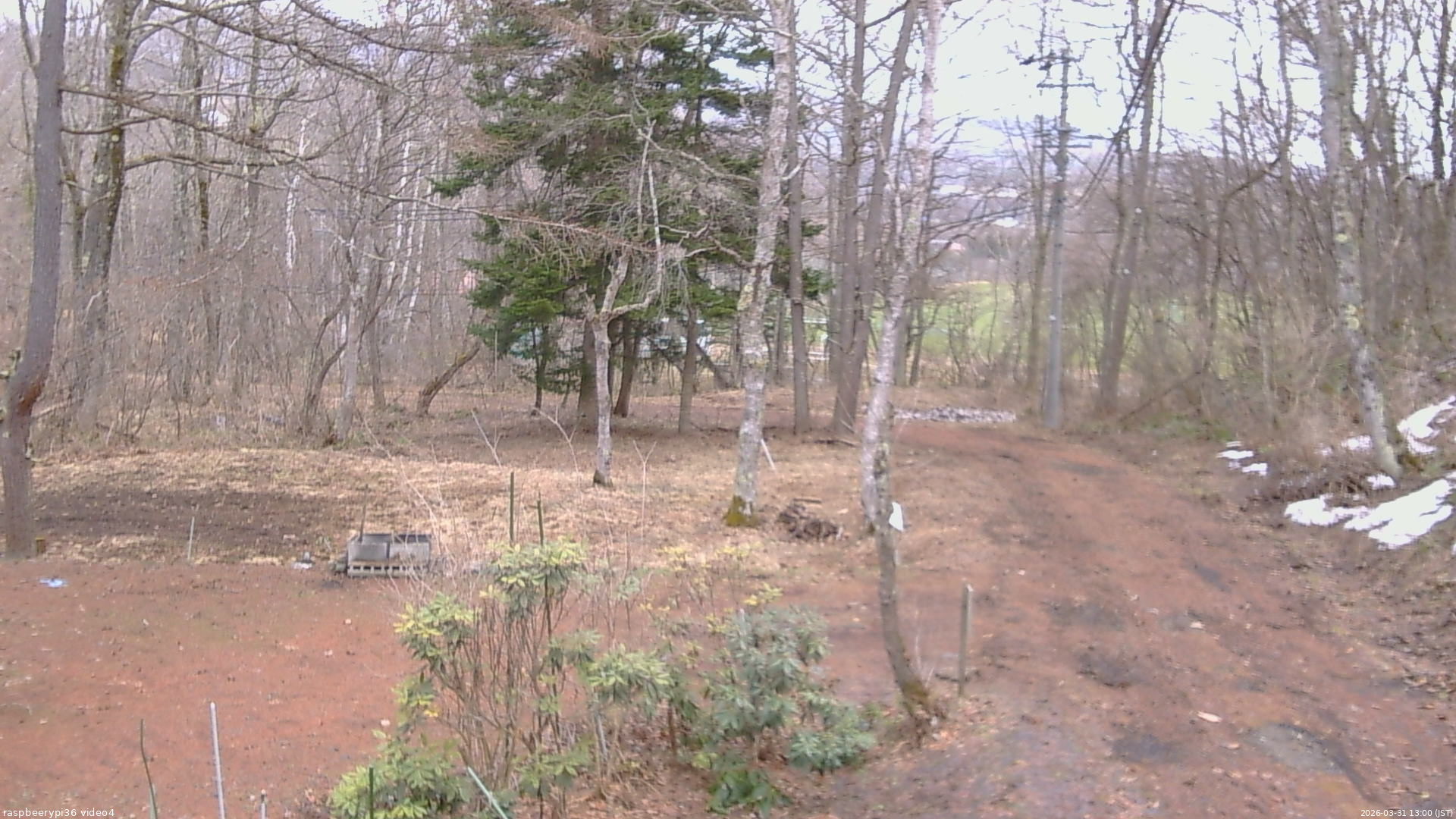 長野県菅平高原 ゆたか山荘 坂上 2026/03/31 13:00