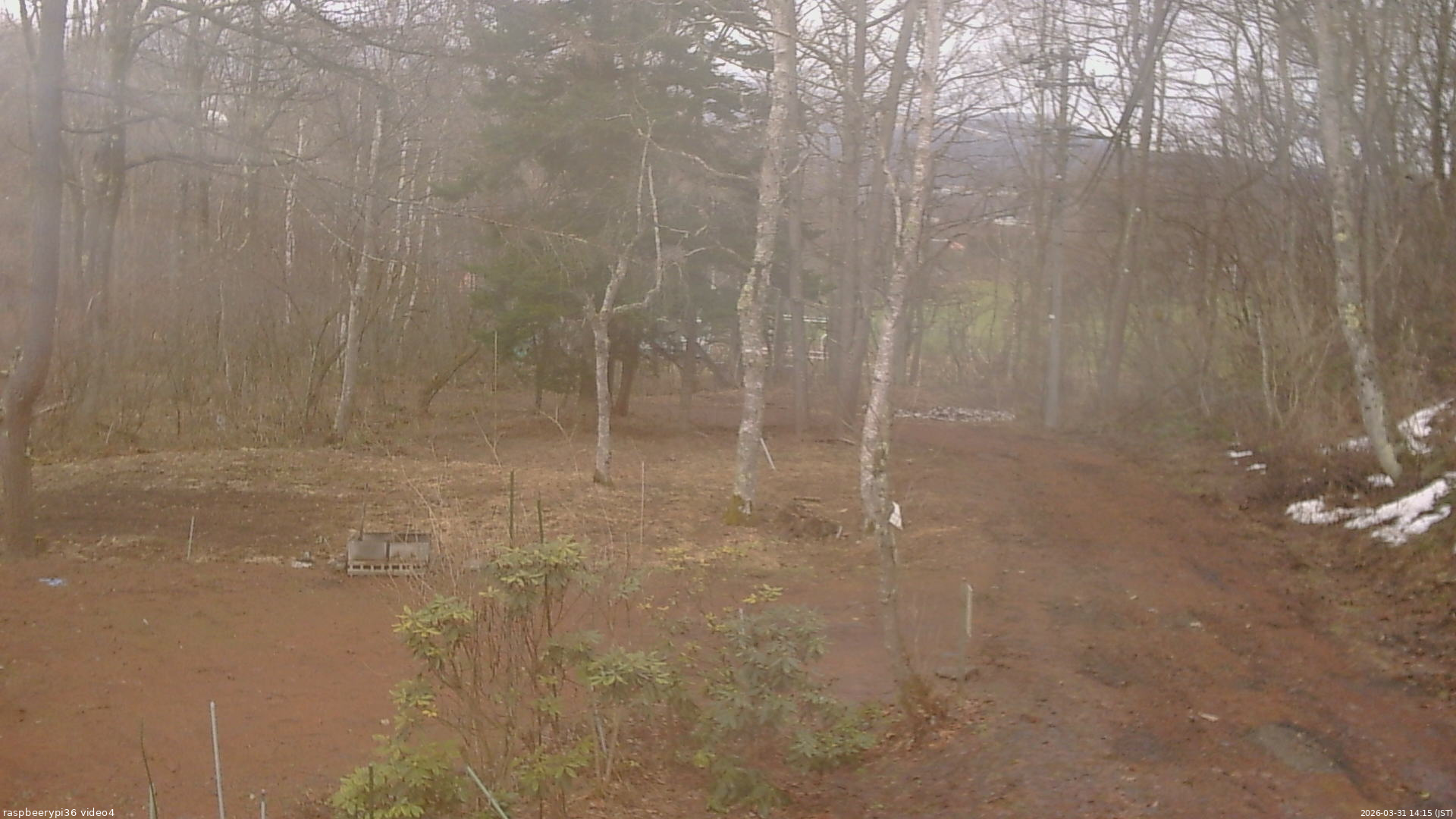 長野県菅平高原 ゆたか山荘 坂上 2026/03/31 14:15