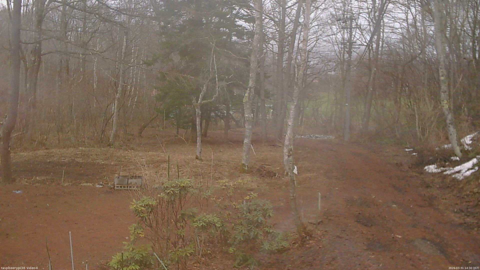 長野県菅平高原 ゆたか山荘 坂上 2026/03/31 14:30