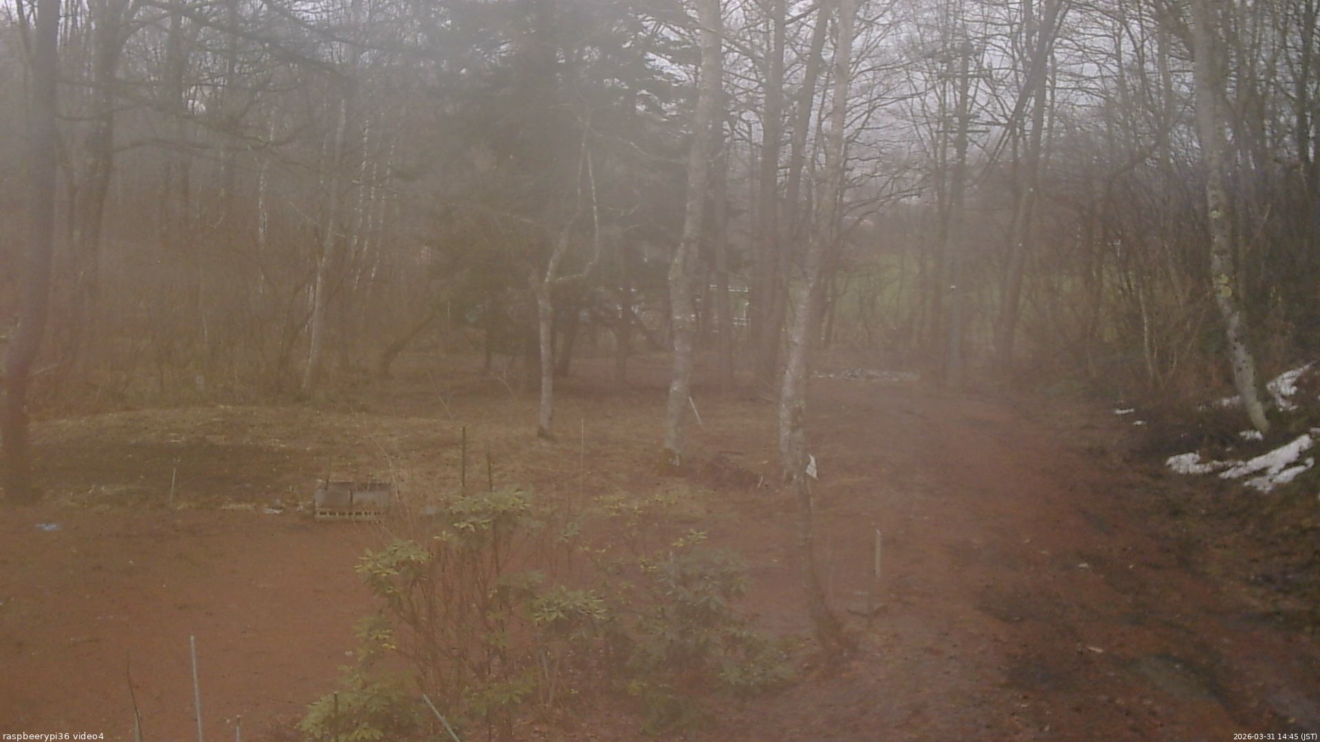 長野県菅平高原 ゆたか山荘 坂上 2026/03/31 14:45