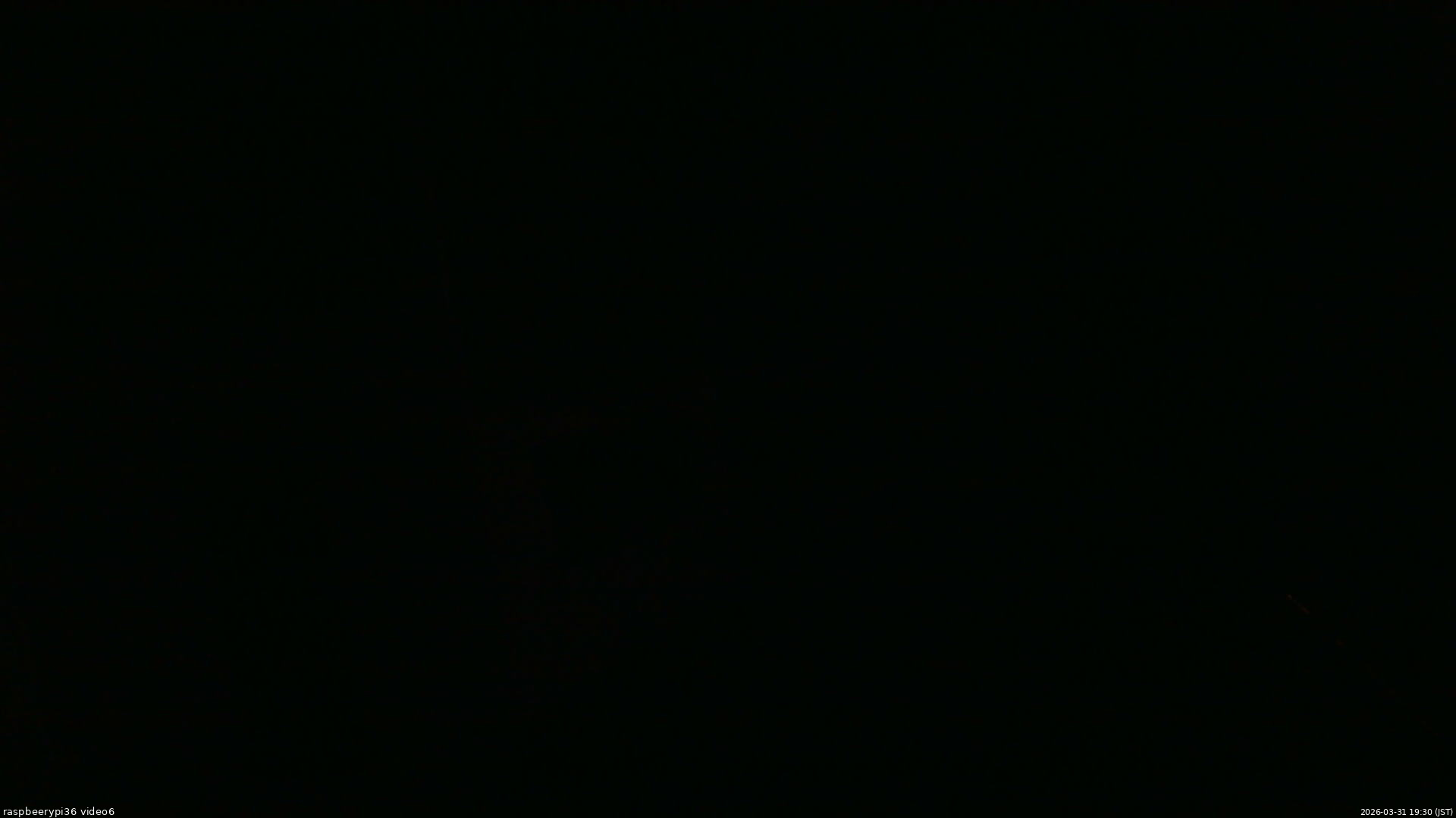 長野県菅平高原 ゆたか山荘 坂下 2026/03/31 19:30