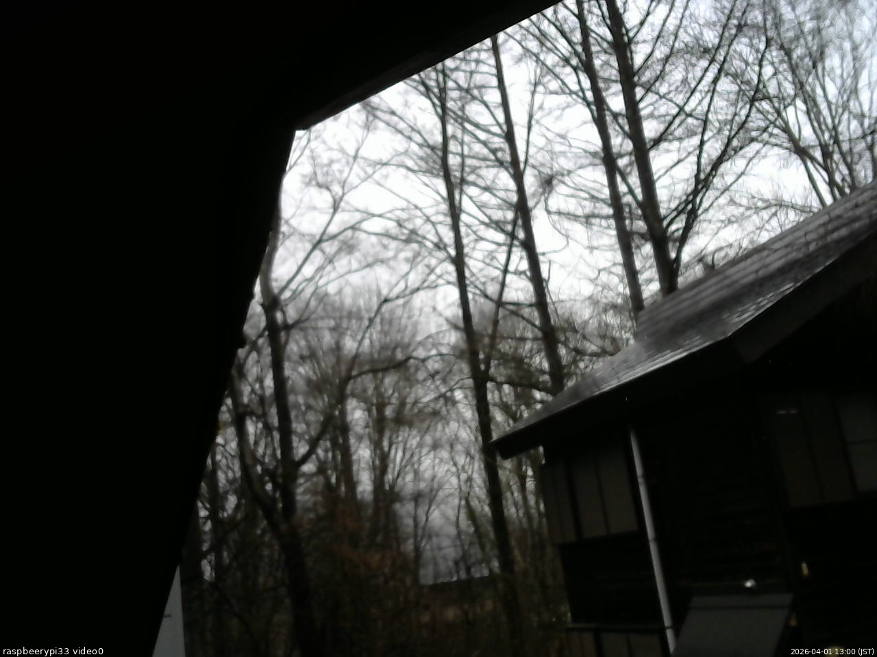 長野県菅平高原 ゆたか山荘 北側 2026/04/01 13:00