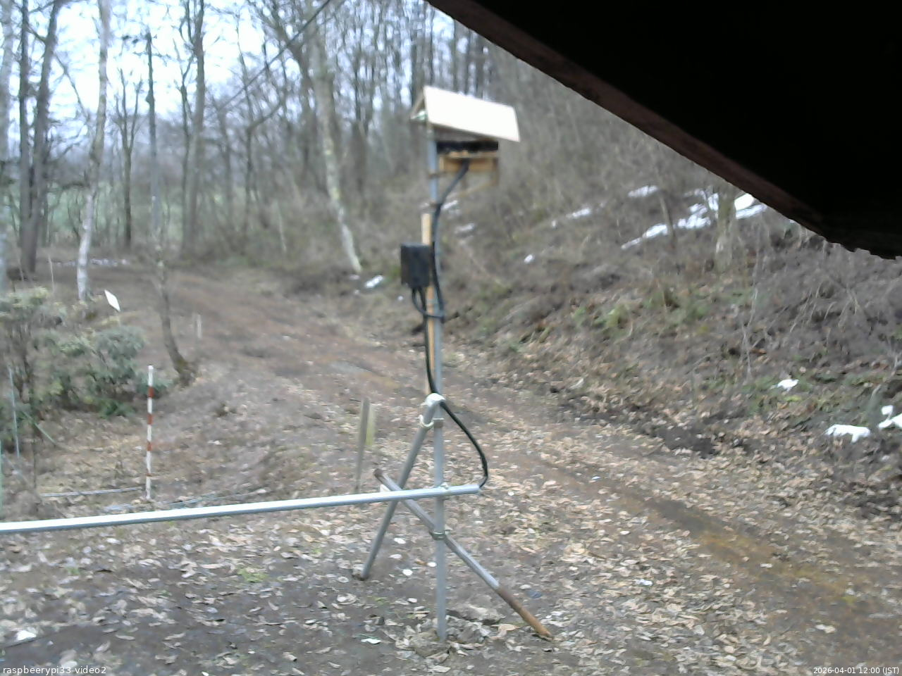 長野県菅平高原 ゆたか山荘 南側 2026/04/01 12:00