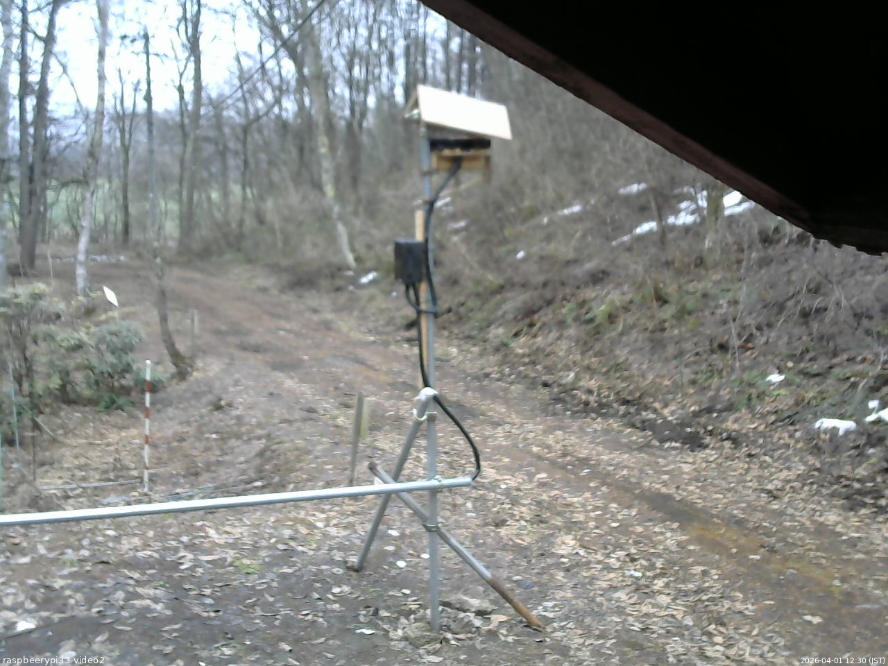 長野県菅平高原 ゆたか山荘 南側 2026/04/01 12:30