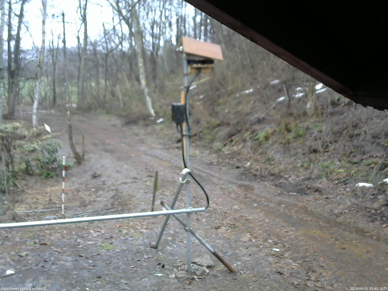 長野県菅平高原 ゆたか山荘 南側 2026/04/01 15:45