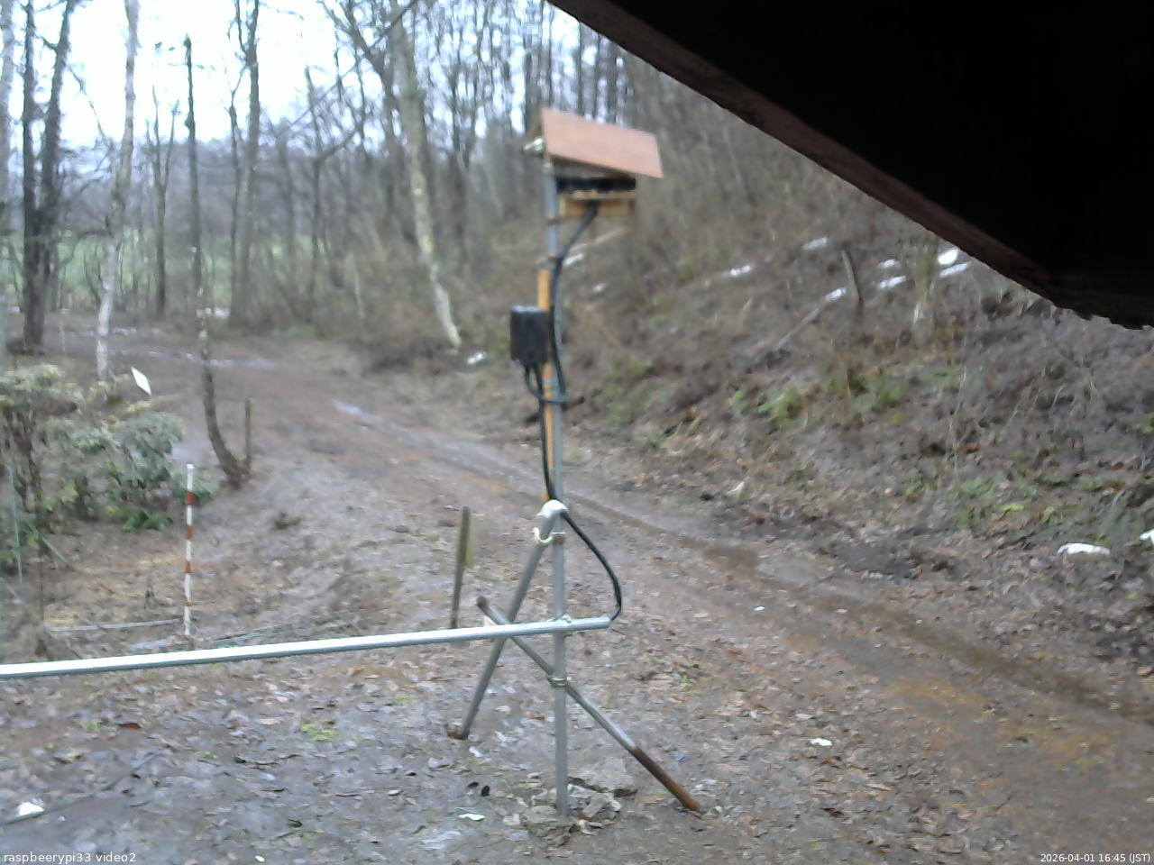 長野県菅平高原 ゆたか山荘 南側 2026/04/01 16:45