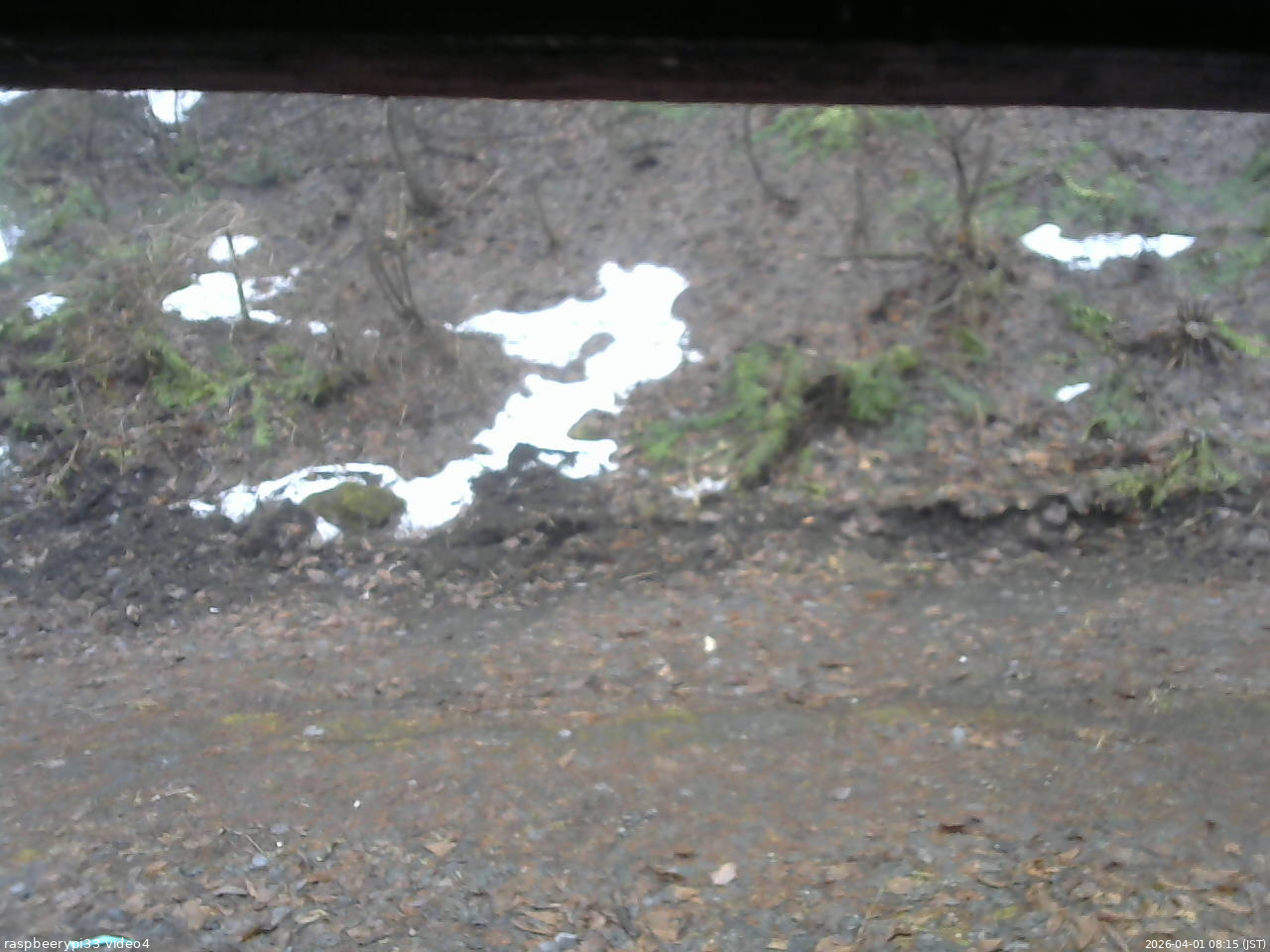 長野県菅平高原 ゆたか山荘 東側(坂下) 2026/04/01 08:15