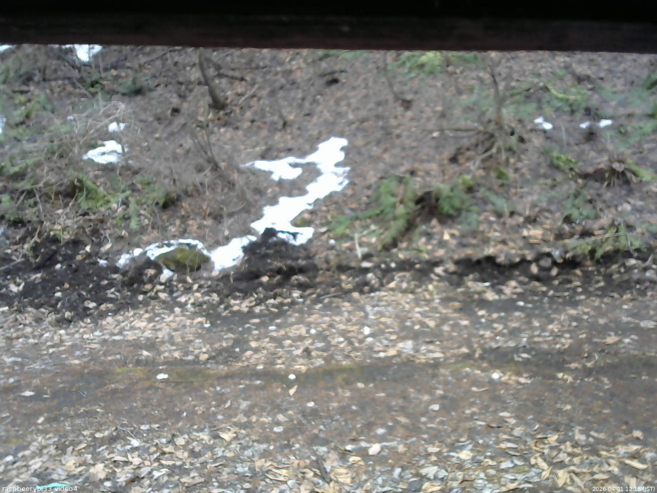 長野県菅平高原 ゆたか山荘 東側(坂下) 2026/04/01 12:15
