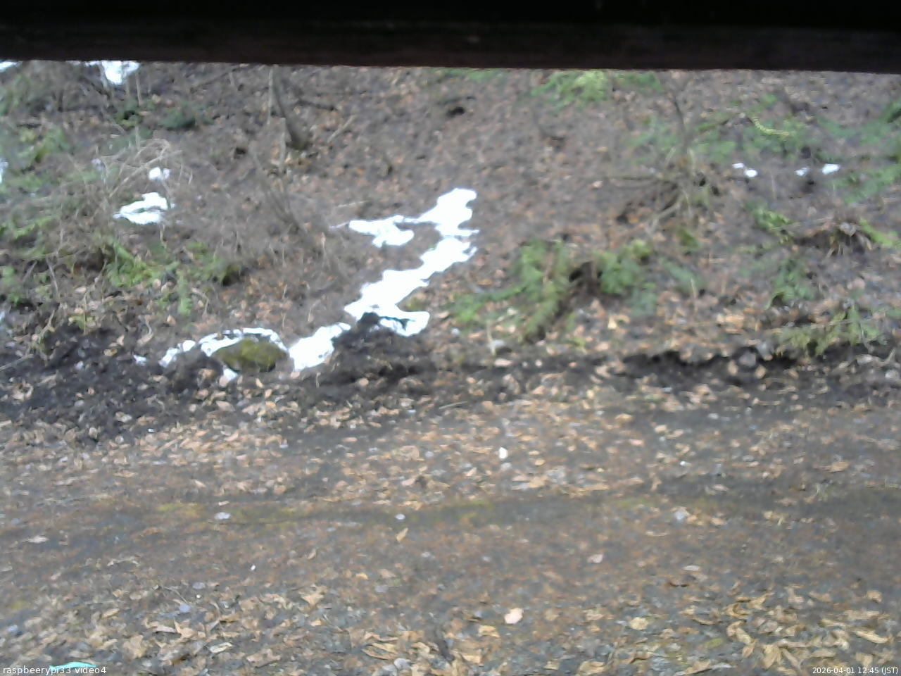 長野県菅平高原 ゆたか山荘 東側(坂下) 2026/04/01 12:45