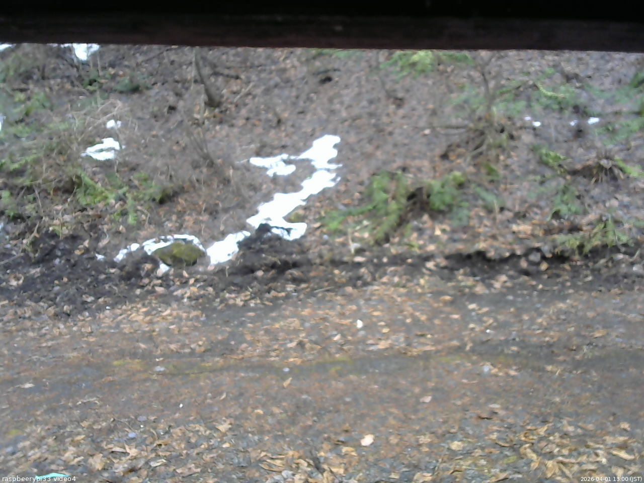 長野県菅平高原 ゆたか山荘 東側(坂下) 2026/04/01 13:00