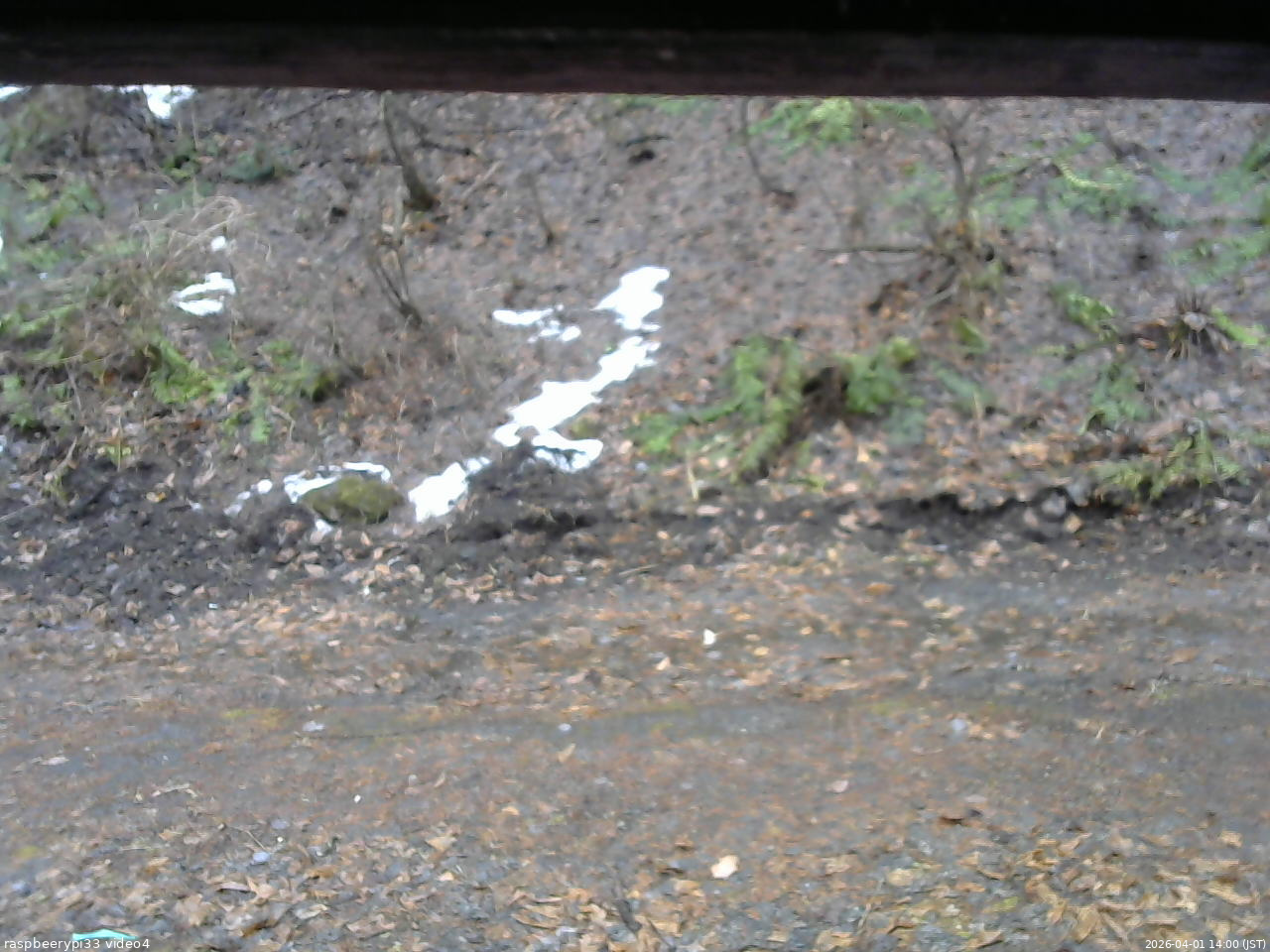 長野県菅平高原 ゆたか山荘 東側(坂下) 2026/04/01 14:00