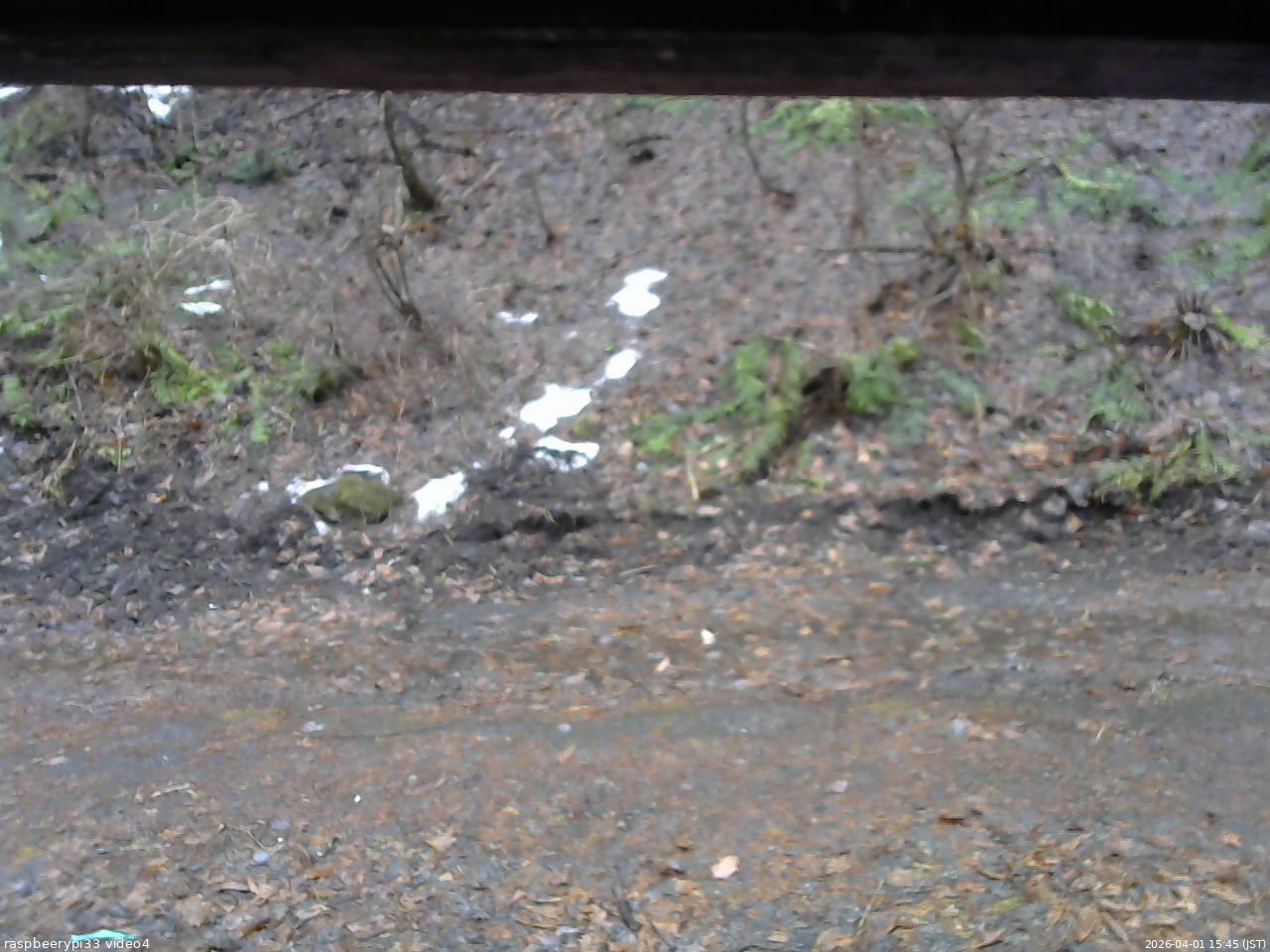 長野県菅平高原 ゆたか山荘 東側(坂下) 2026/04/01 15:45
