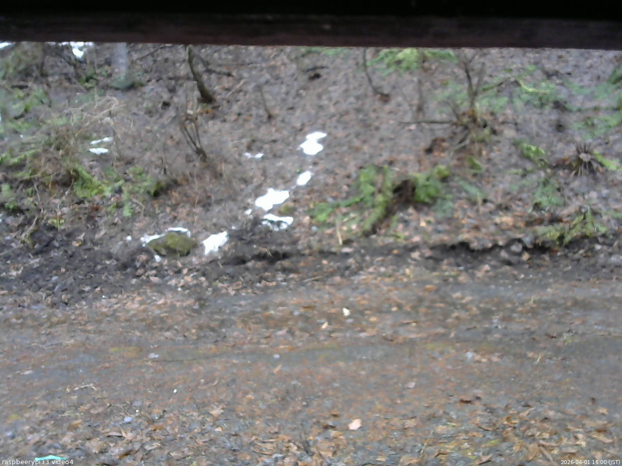 長野県菅平高原 ゆたか山荘 東側(坂下) 2026/04/01 16:00