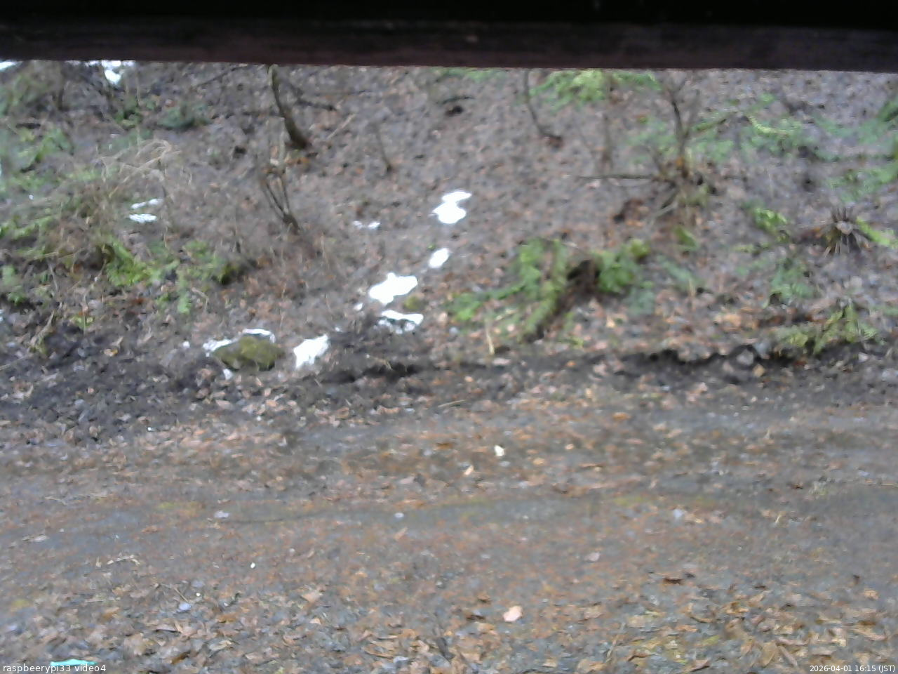 長野県菅平高原 ゆたか山荘 東側(坂下) 2026/04/01 16:15