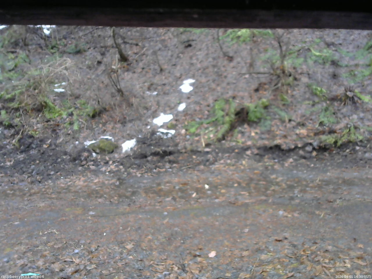 長野県菅平高原 ゆたか山荘 東側(坂下) 2026/04/01 16:30