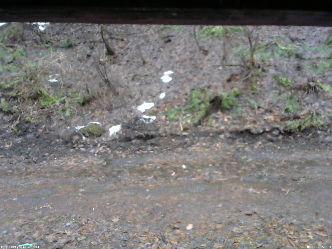 長野県菅平高原 ゆたか山荘 東側(坂下) 2026/04/01 17:15