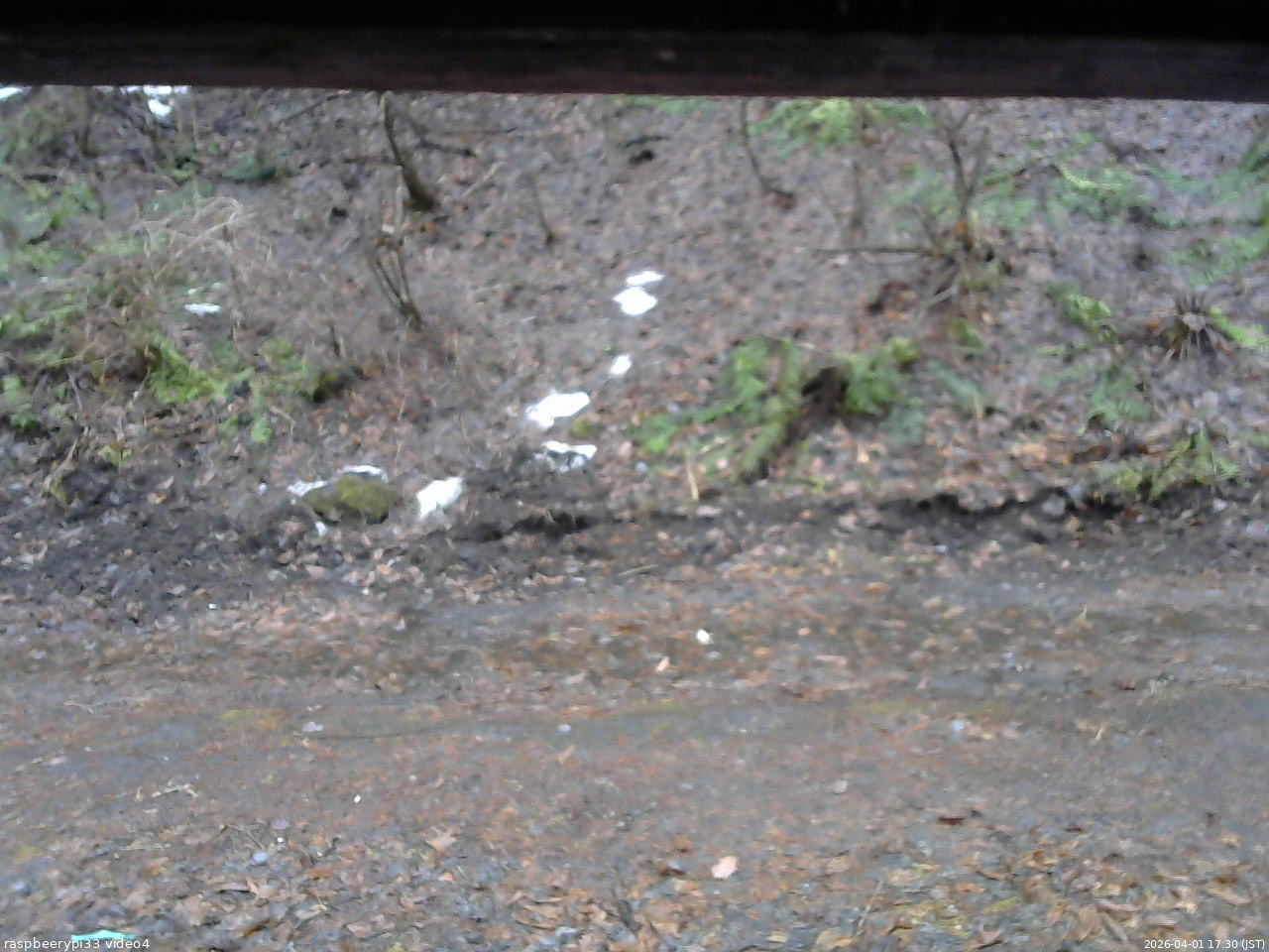 長野県菅平高原 ゆたか山荘 東側(坂下) 2026/04/01 17:30