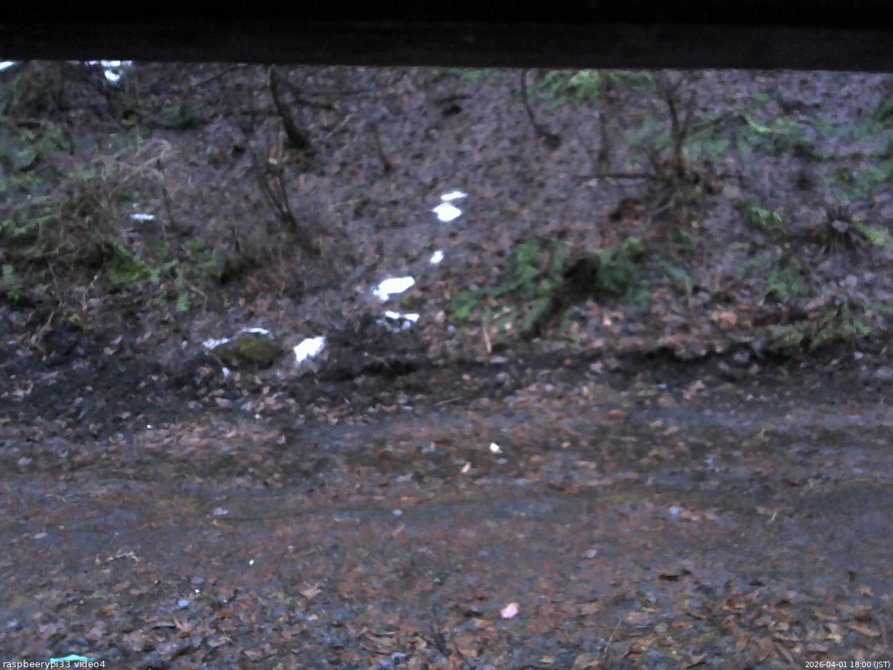 長野県菅平高原 ゆたか山荘 東側(坂下) 2026/04/01 18:00
