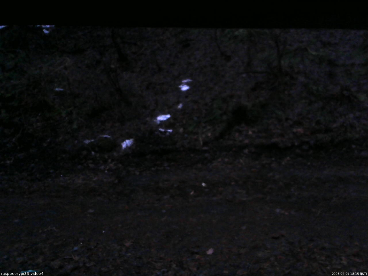 長野県菅平高原 ゆたか山荘 東側(坂下) 2026/04/01 18:15