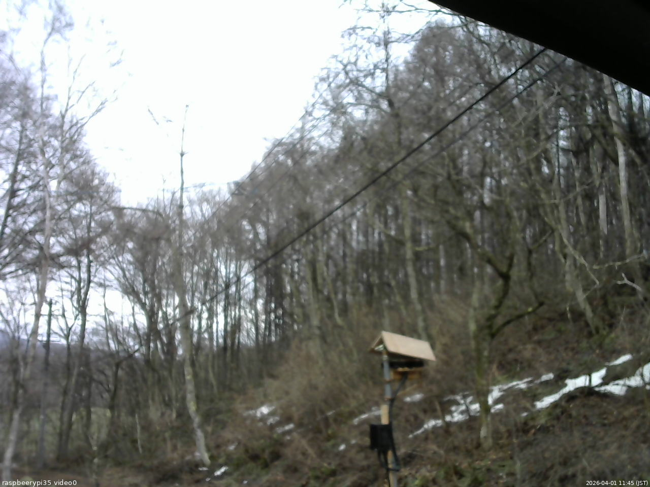 長野県菅平高原 ゆたか山荘 温度計 2026/04/01 11:45