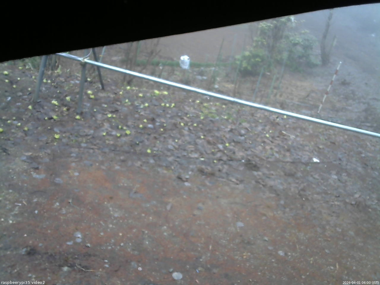 長野県菅平高原 ゆたか山荘 駐車場 2026/04/01 06:00