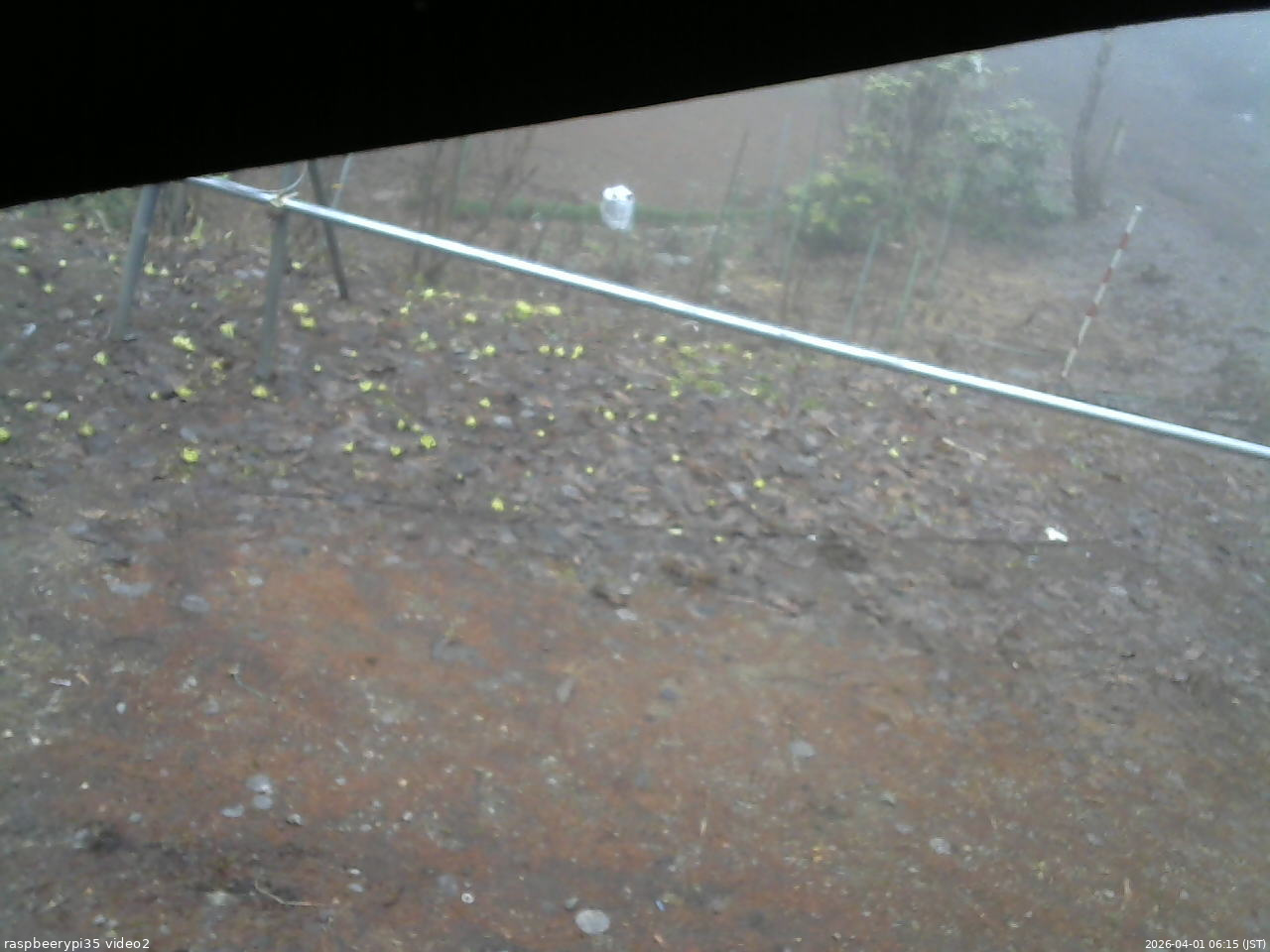 長野県菅平高原 ゆたか山荘 駐車場 2026/04/01 06:15