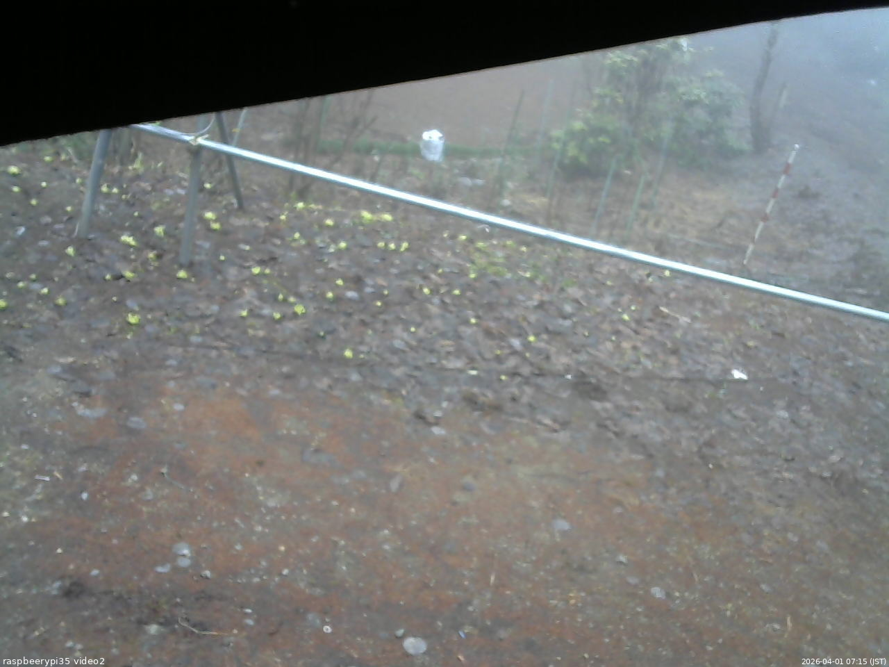 長野県菅平高原 ゆたか山荘 駐車場 2026/04/01 07:15