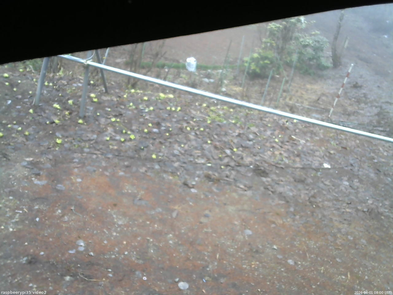 長野県菅平高原 ゆたか山荘 駐車場 2026/04/01 08:00