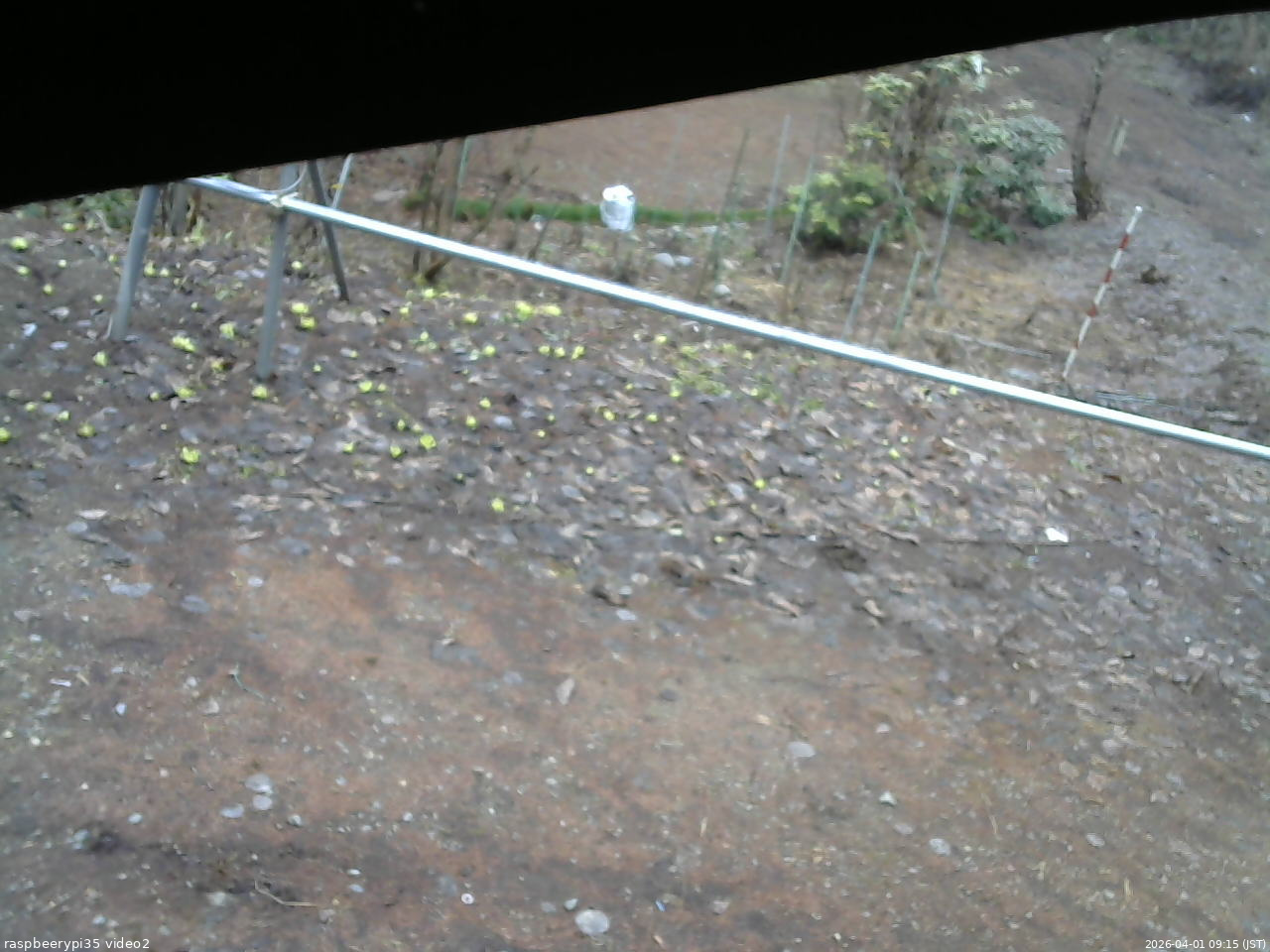 長野県菅平高原 ゆたか山荘 駐車場 2026/04/01 09:15