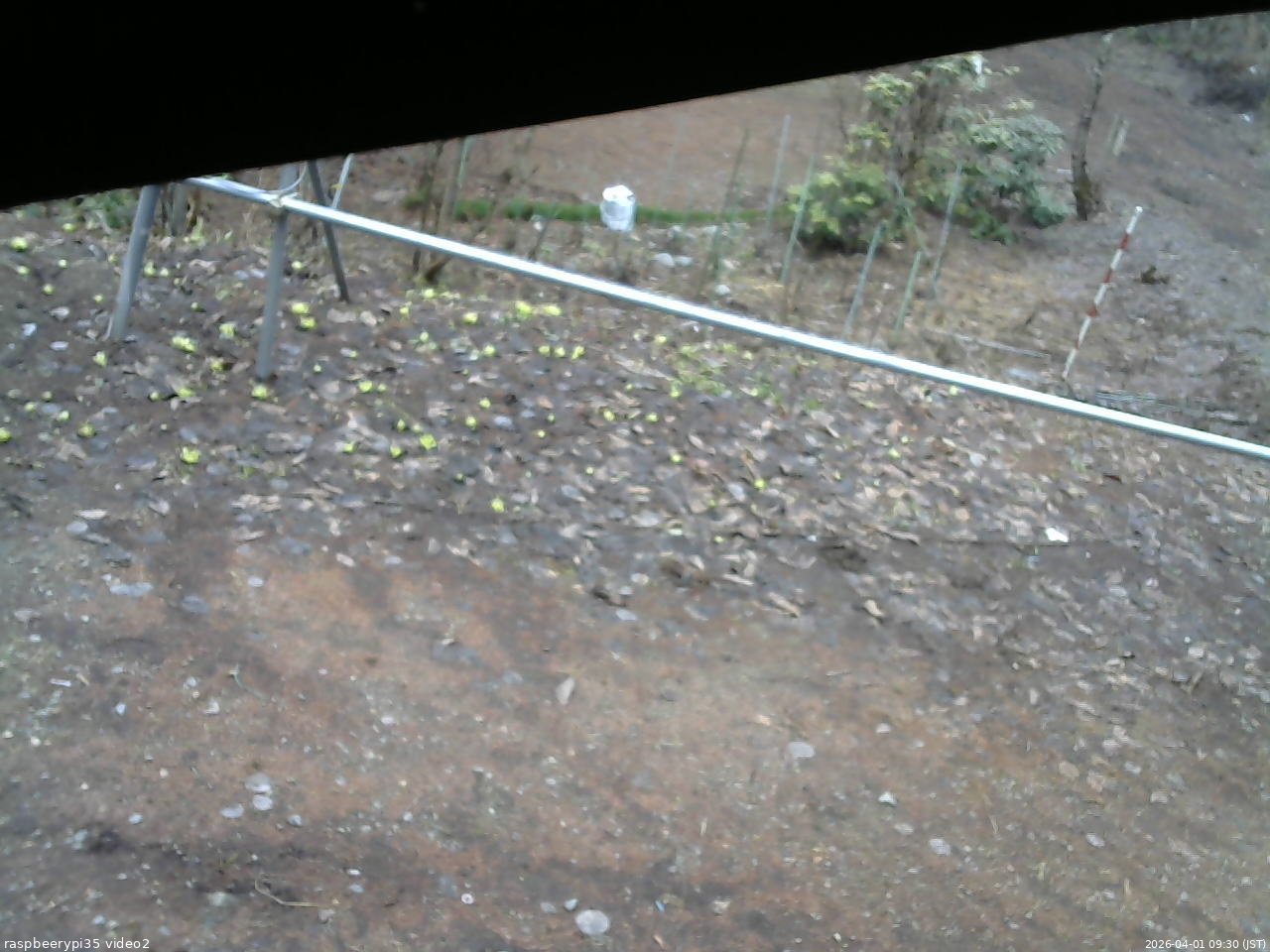 長野県菅平高原 ゆたか山荘 駐車場 2026/04/01 09:30