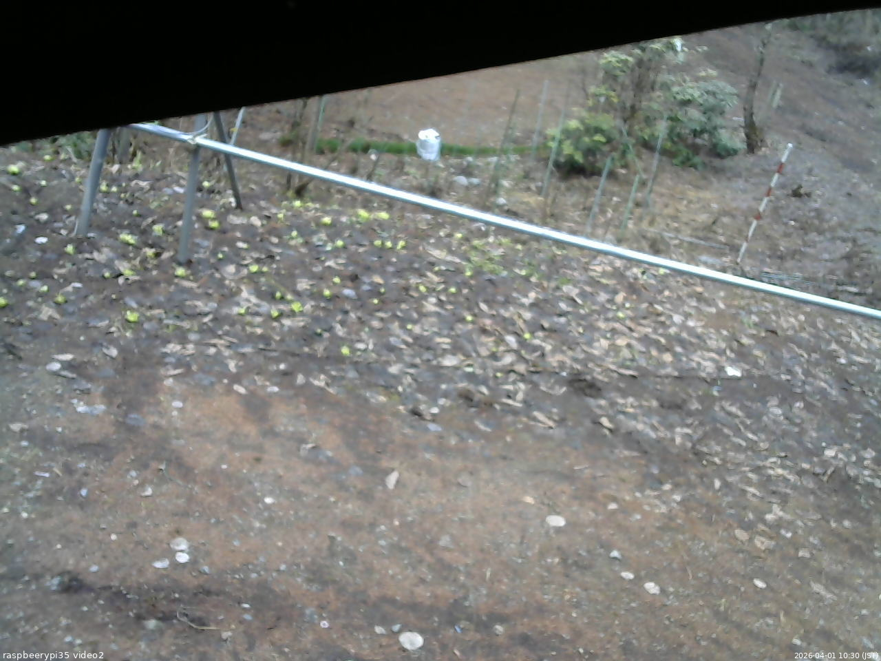 長野県菅平高原 ゆたか山荘 駐車場 2026/04/01 10:30