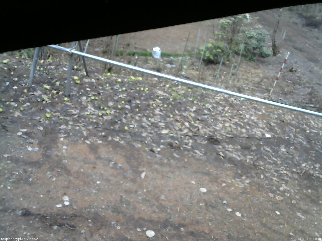 長野県菅平高原 ゆたか山荘 駐車場 2026/04/01 11:00