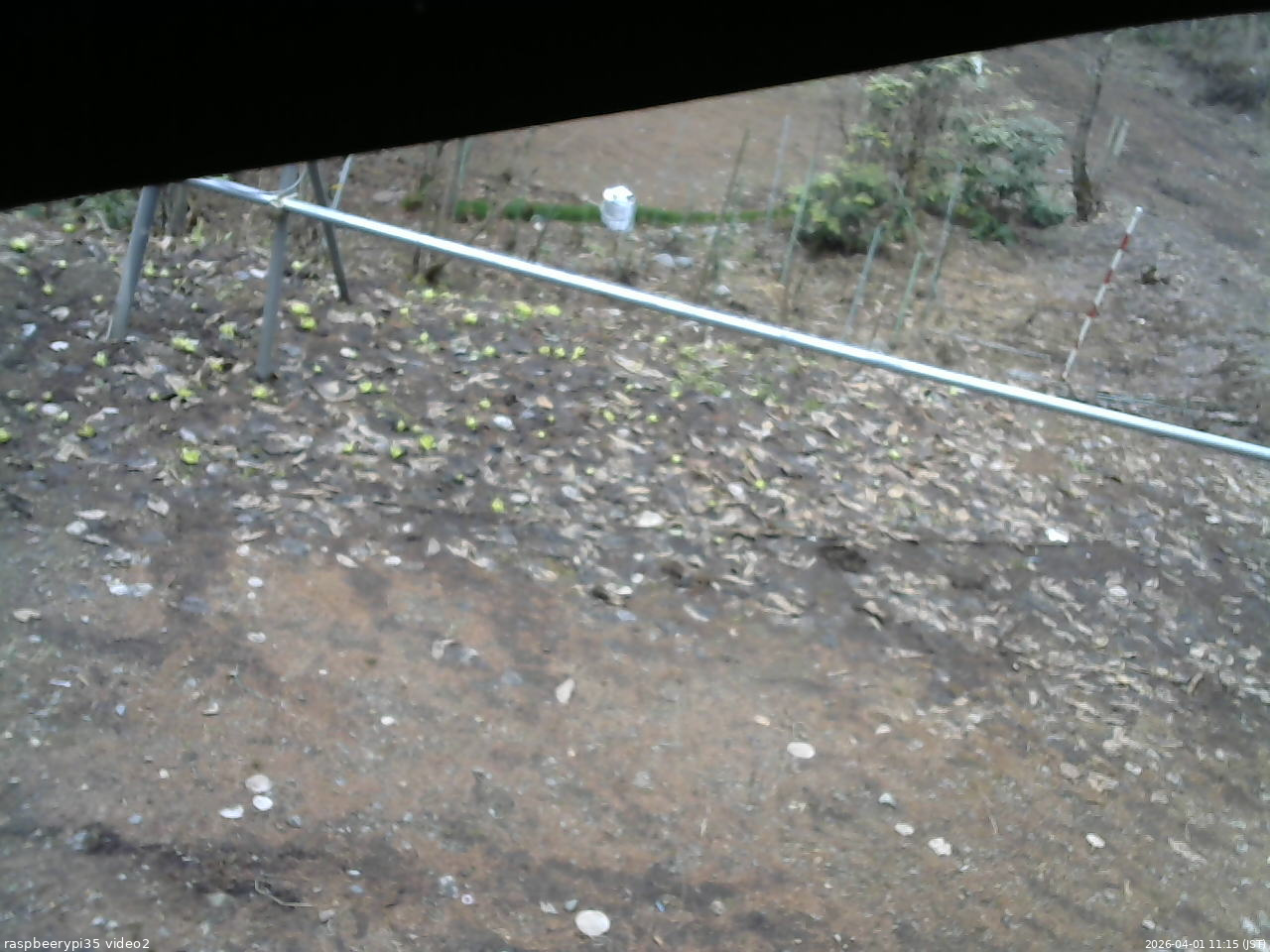 長野県菅平高原 ゆたか山荘 駐車場 2026/04/01 11:15