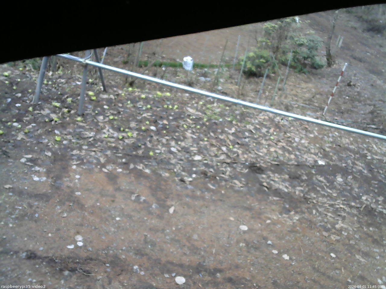 長野県菅平高原 ゆたか山荘 駐車場 2026/04/01 11:45