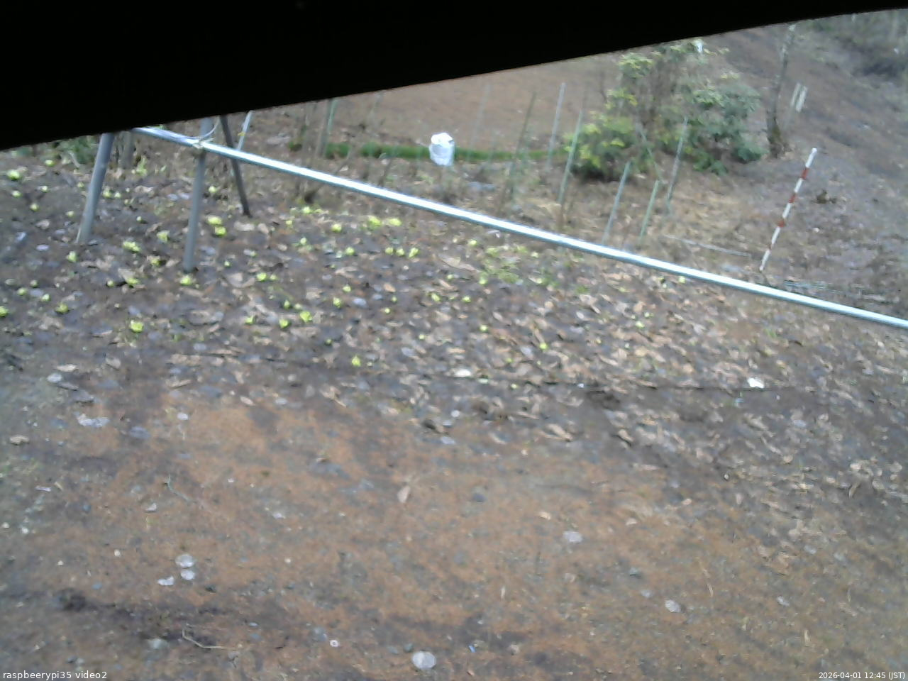 長野県菅平高原 ゆたか山荘 駐車場 2026/04/01 12:45