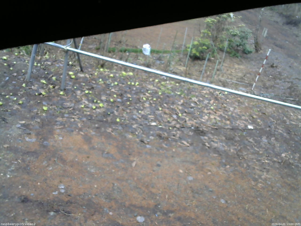 長野県菅平高原 ゆたか山荘 駐車場 2026/04/01 13:00