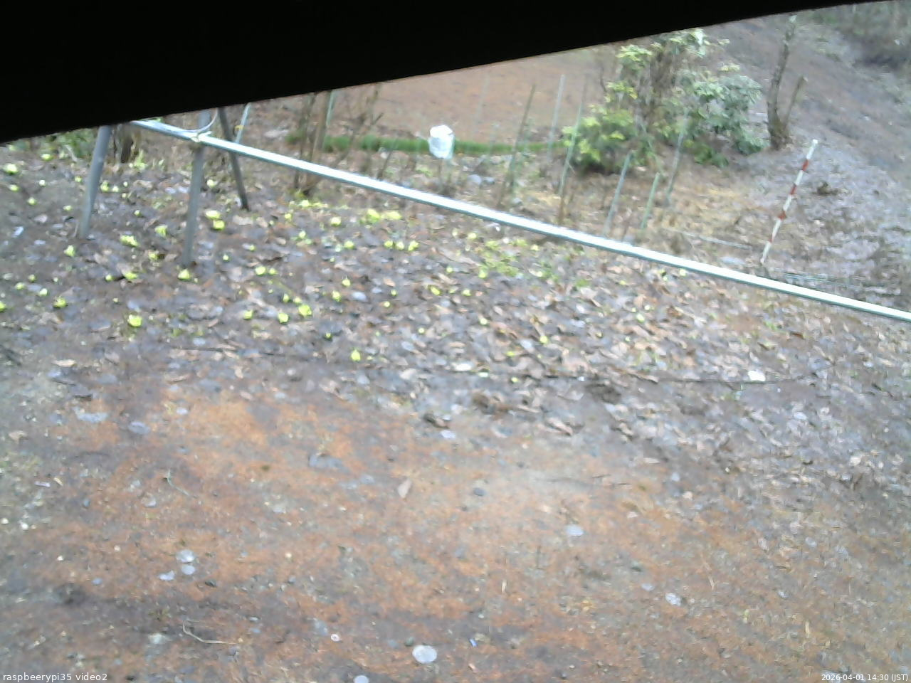 長野県菅平高原 ゆたか山荘 駐車場 2026/04/01 14:30