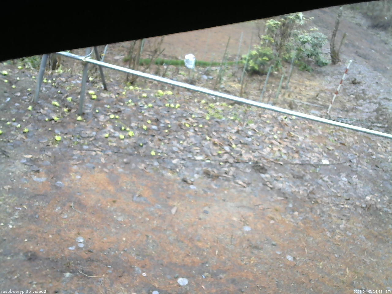 長野県菅平高原 ゆたか山荘 駐車場 2026/04/01 14:45