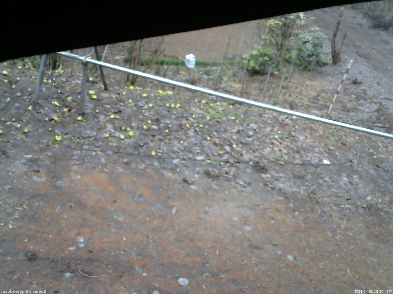 長野県菅平高原 ゆたか山荘 駐車場 2026/04/01 15:30