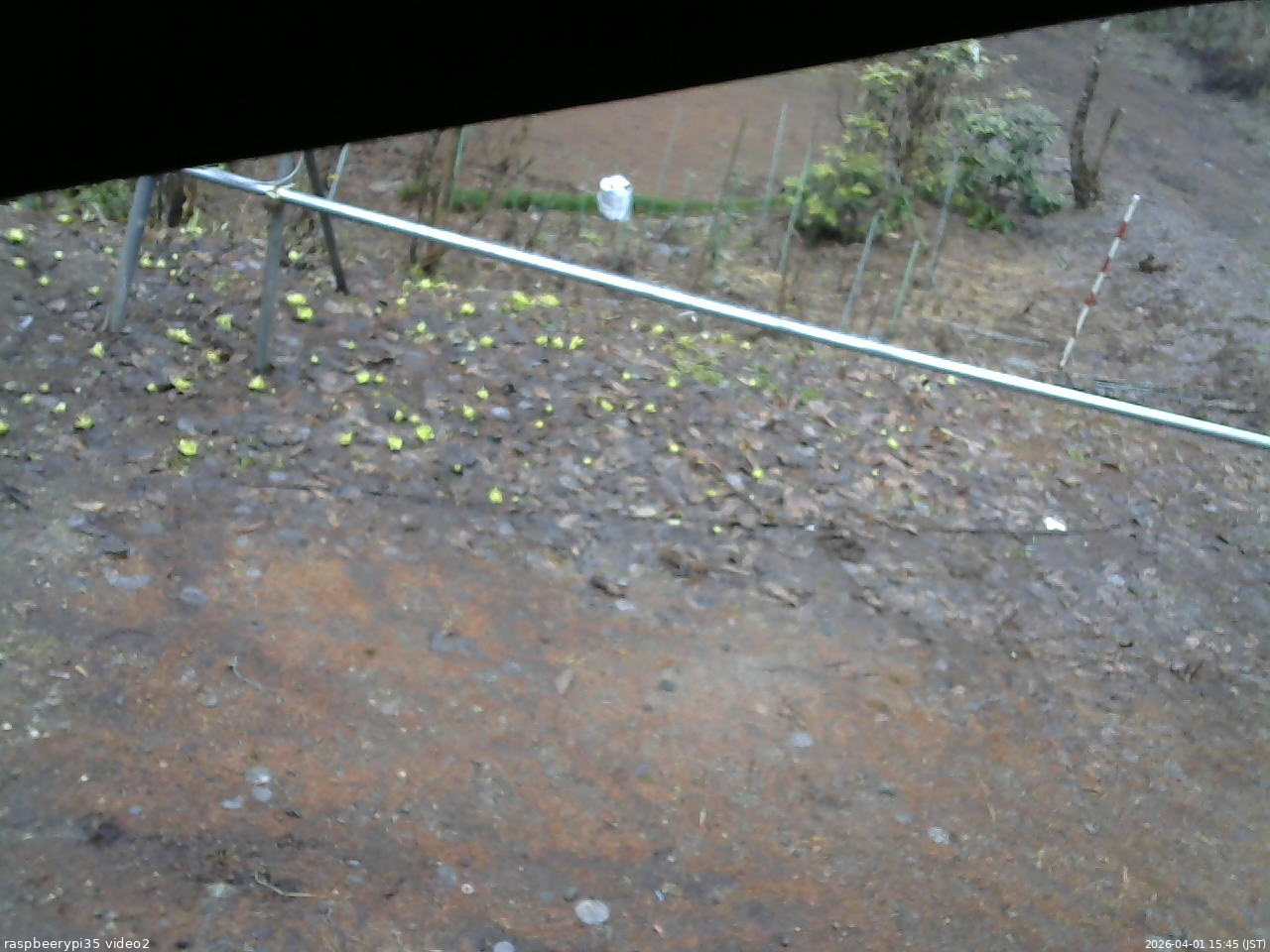 長野県菅平高原 ゆたか山荘 駐車場 2026/04/01 15:45